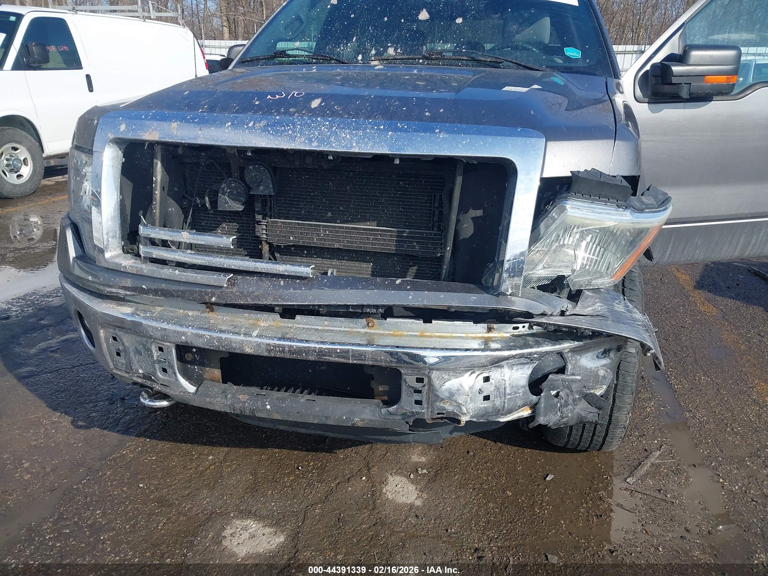 FORD F-150 image 6