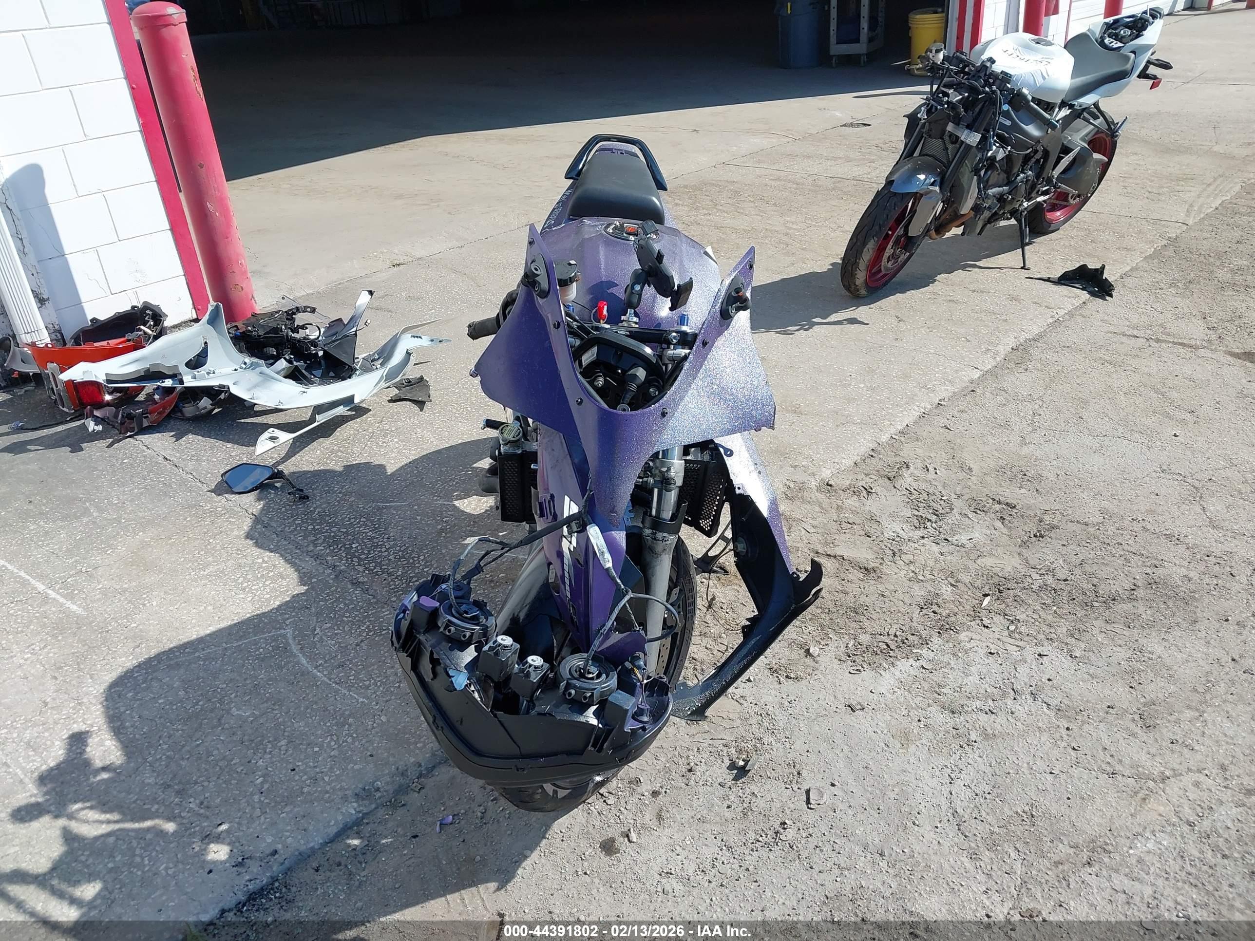SUZUKI SV1000 image 5