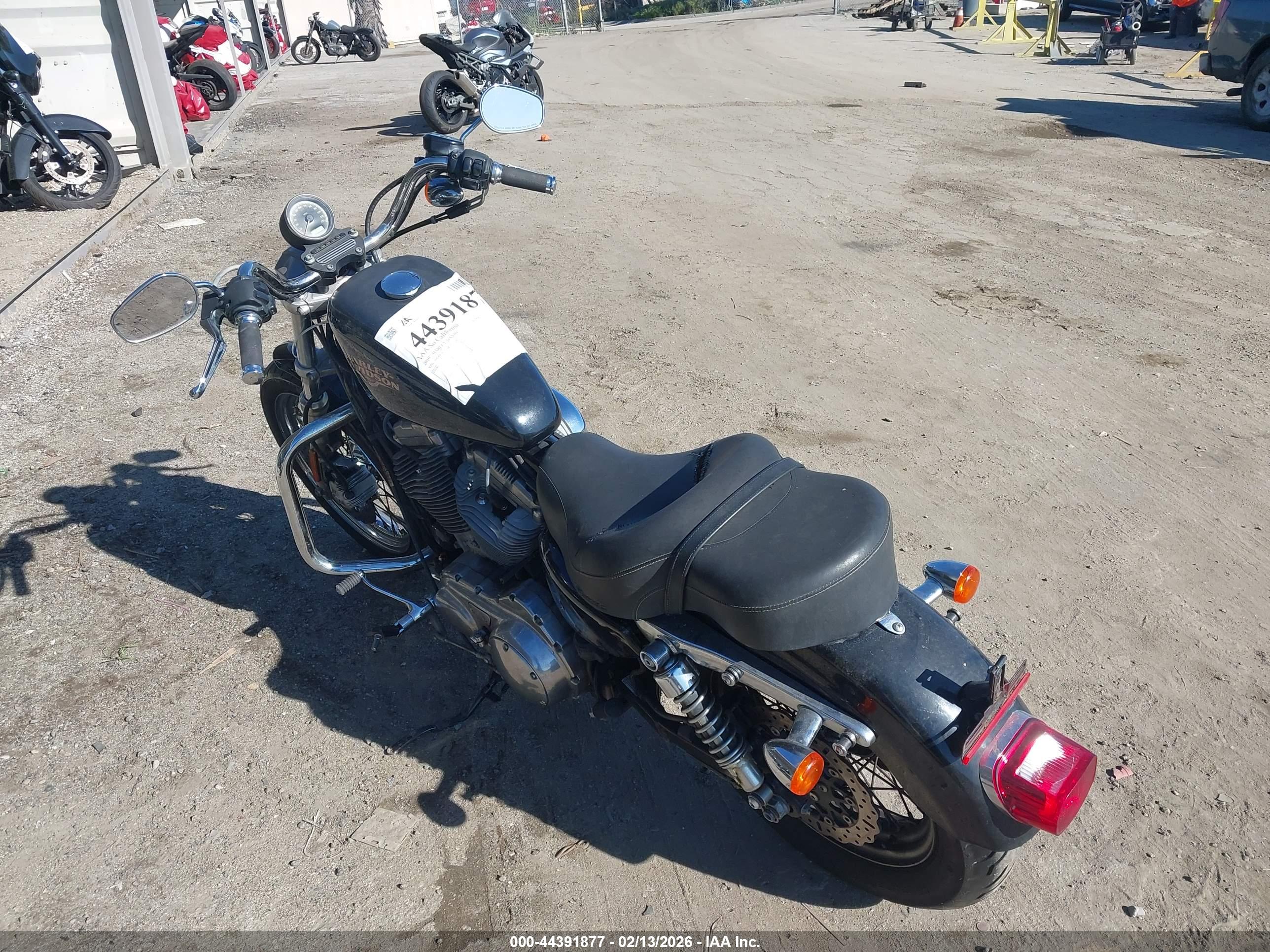 HARLEY-DAVIDSON XL883 image 3