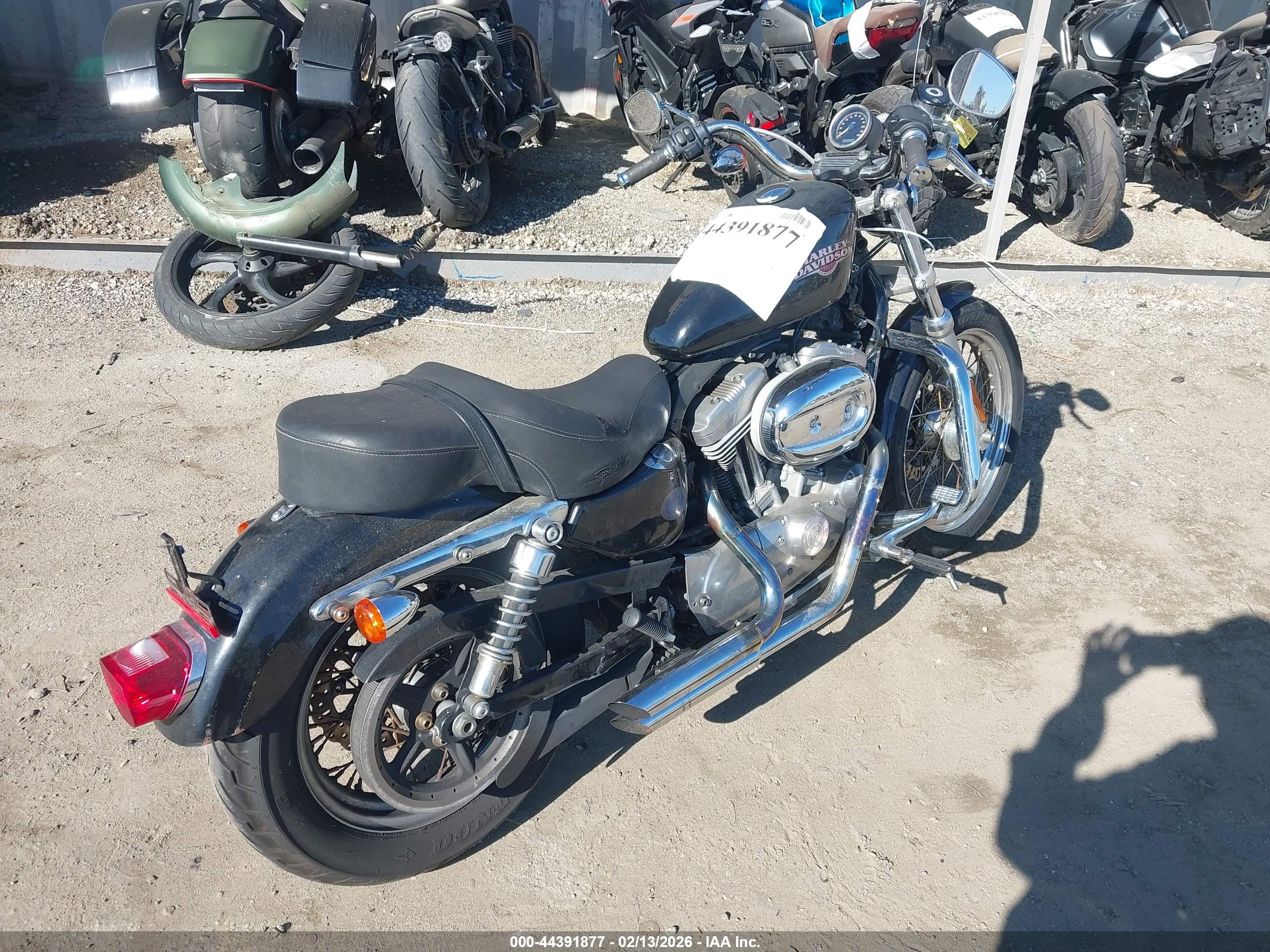 HARLEY-DAVIDSON XL883 image 4