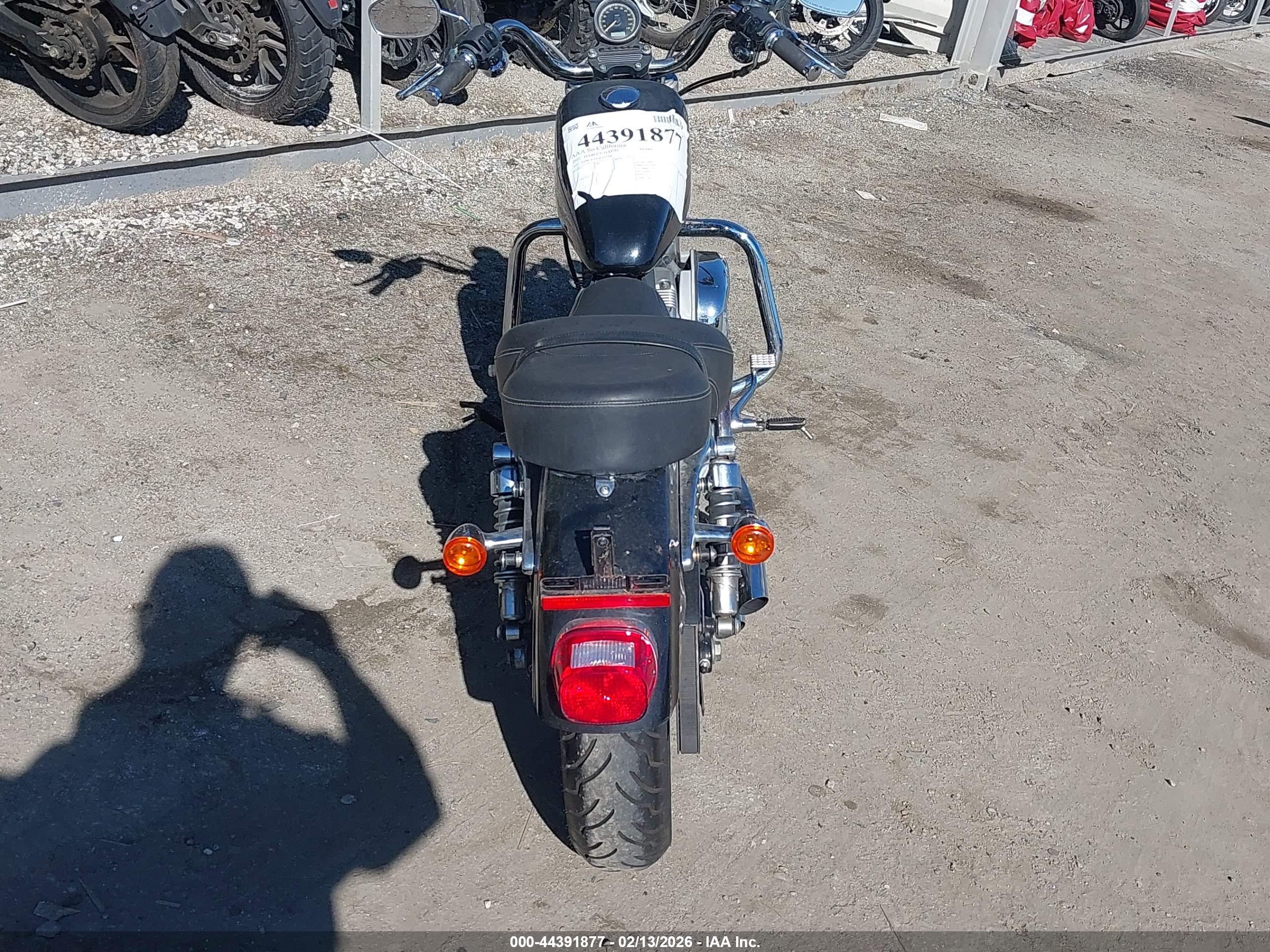 HARLEY-DAVIDSON XL883 image 6
