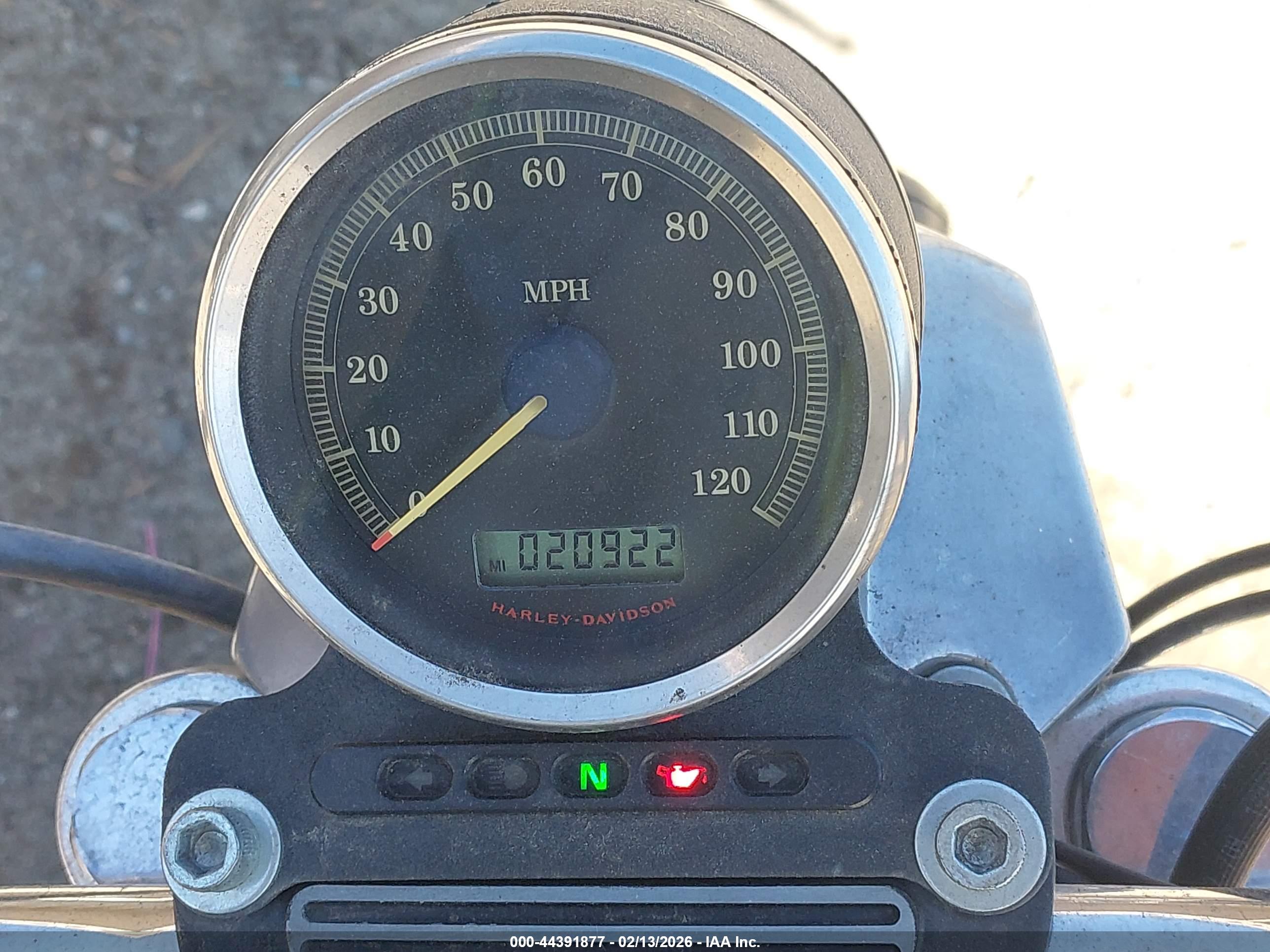 HARLEY-DAVIDSON XL883 image 7