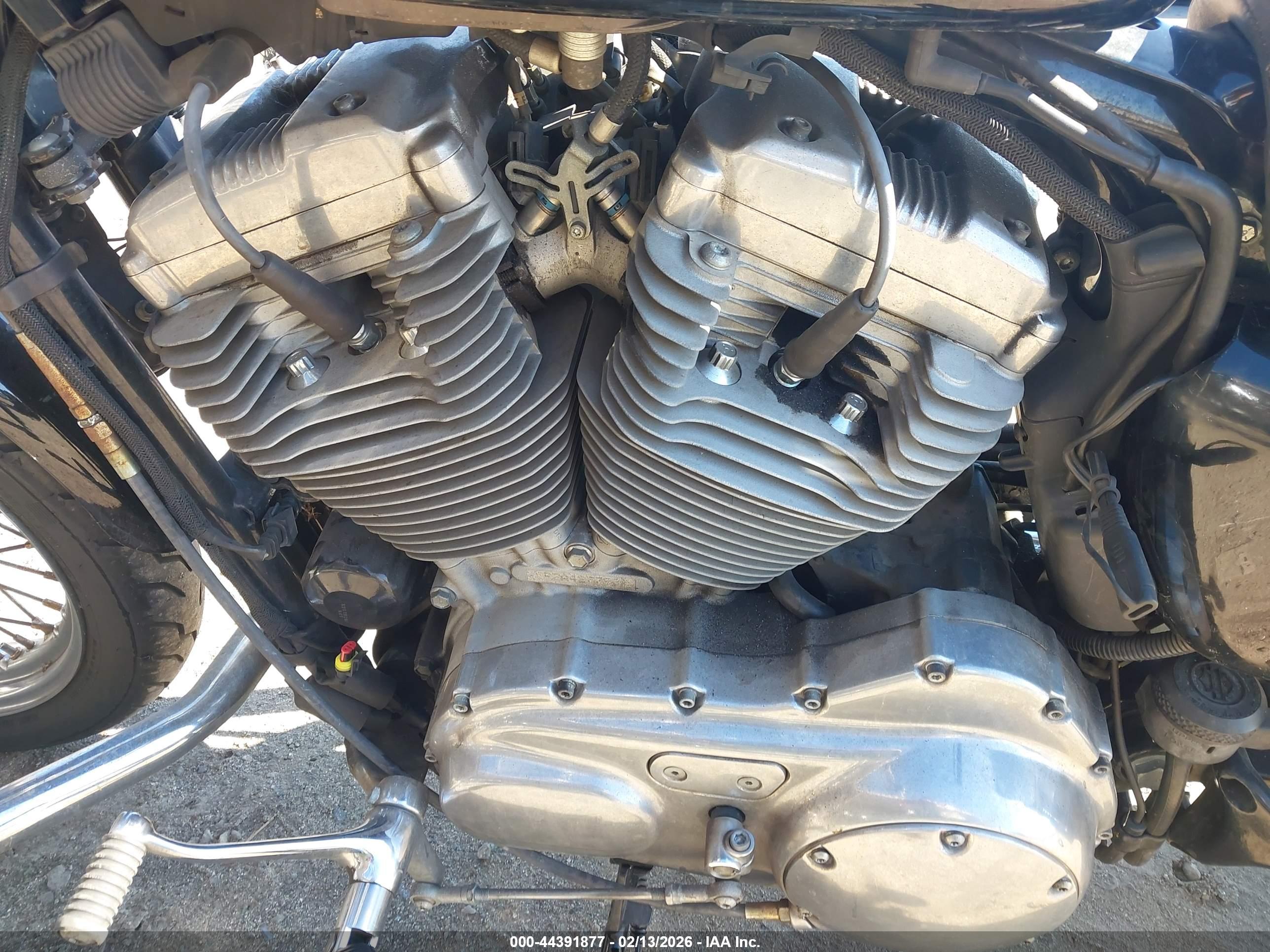 HARLEY-DAVIDSON XL883 image 9