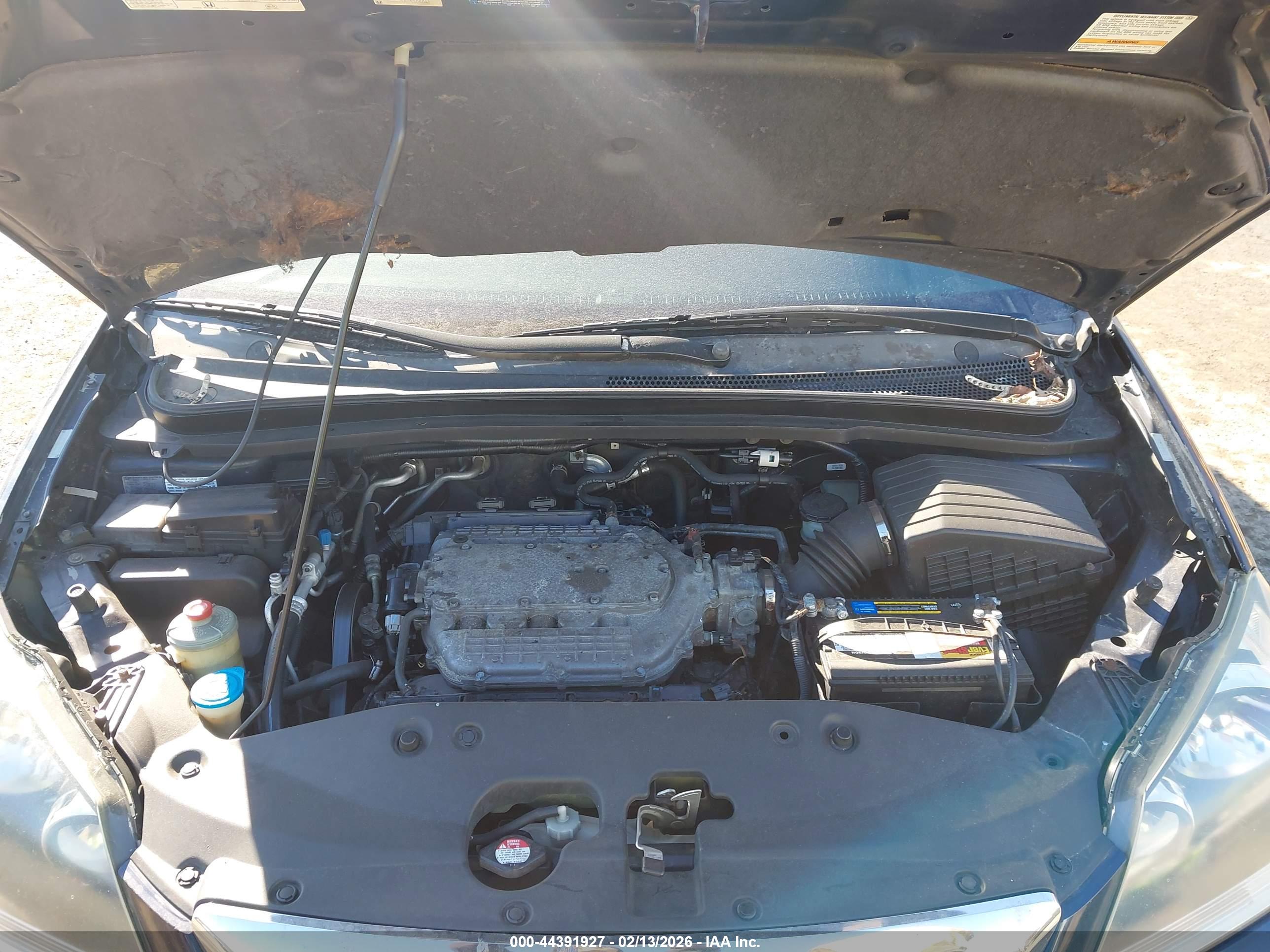 HONDA ODYSSEY image 10