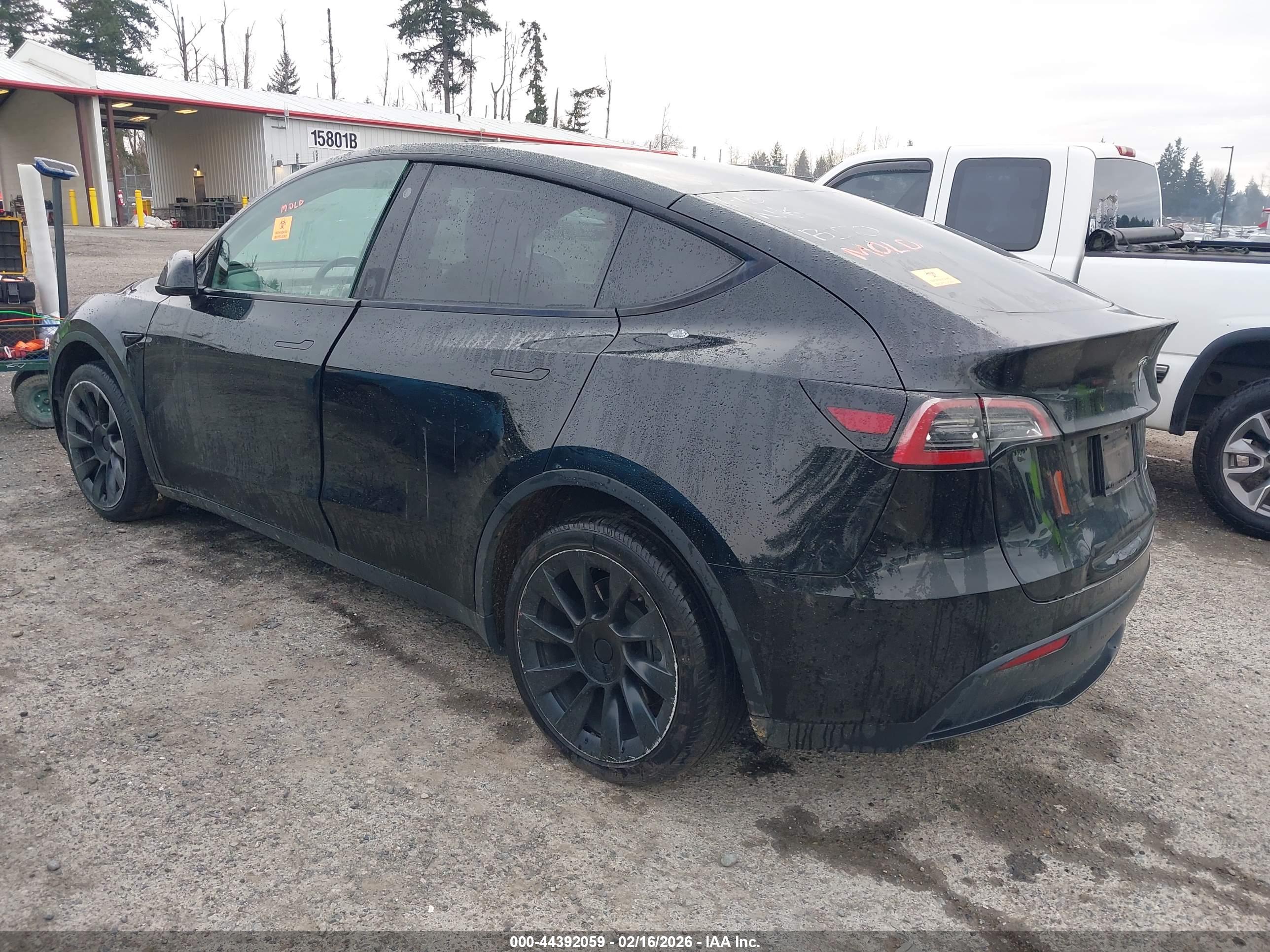 TESLA MODEL image 3