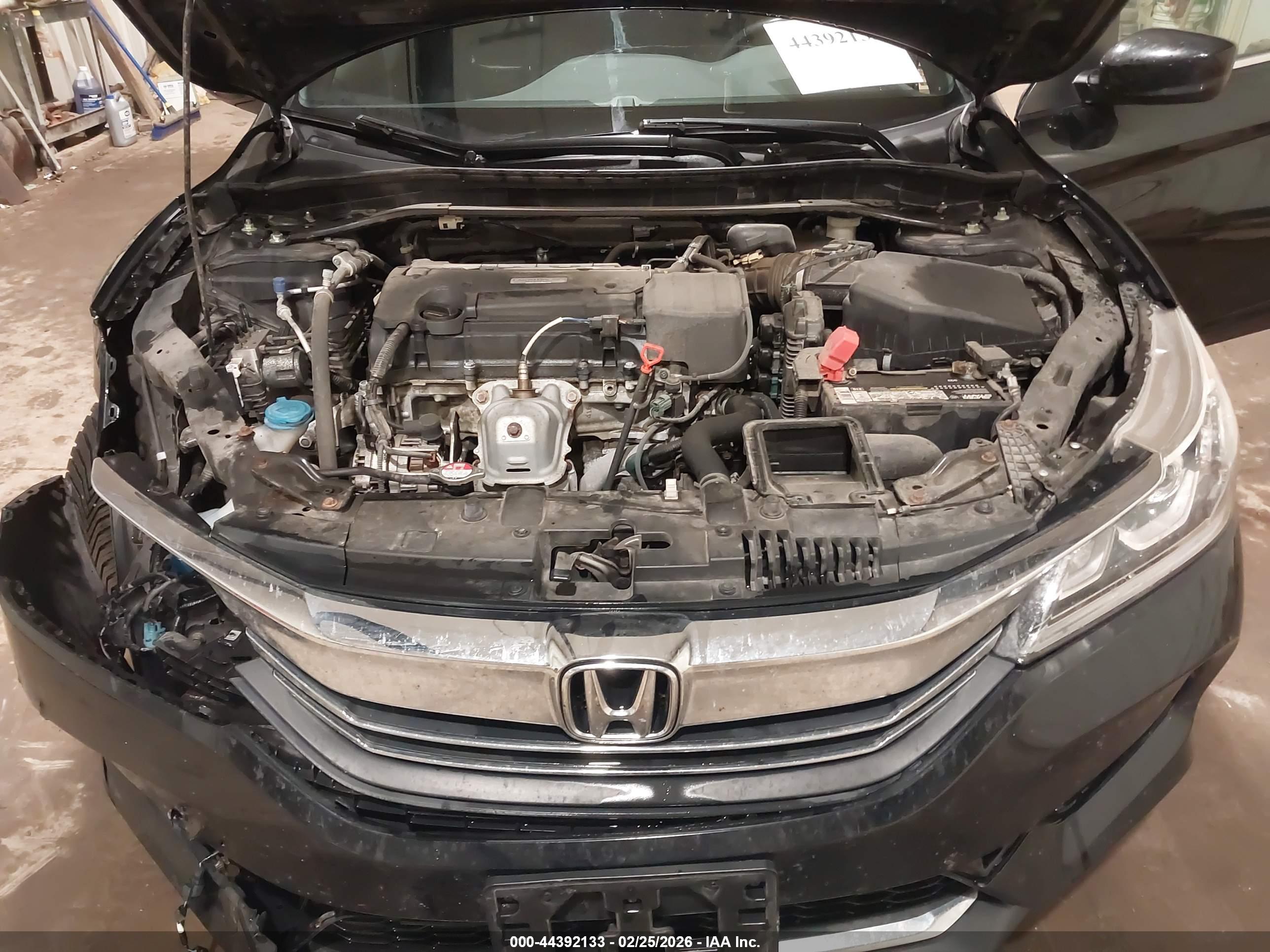 HONDA ACCORD image 10