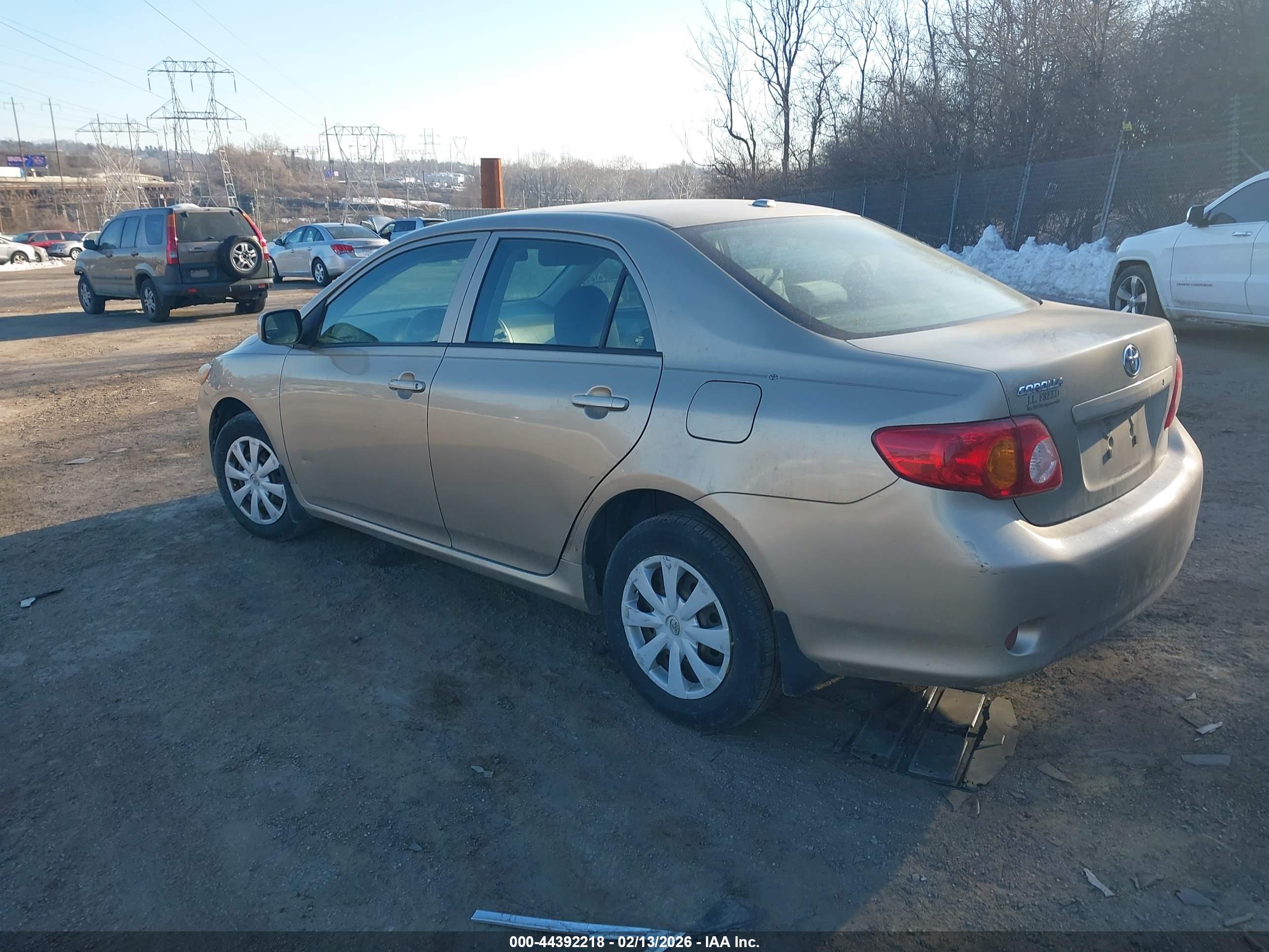 TOYOTA COROLLA image 3