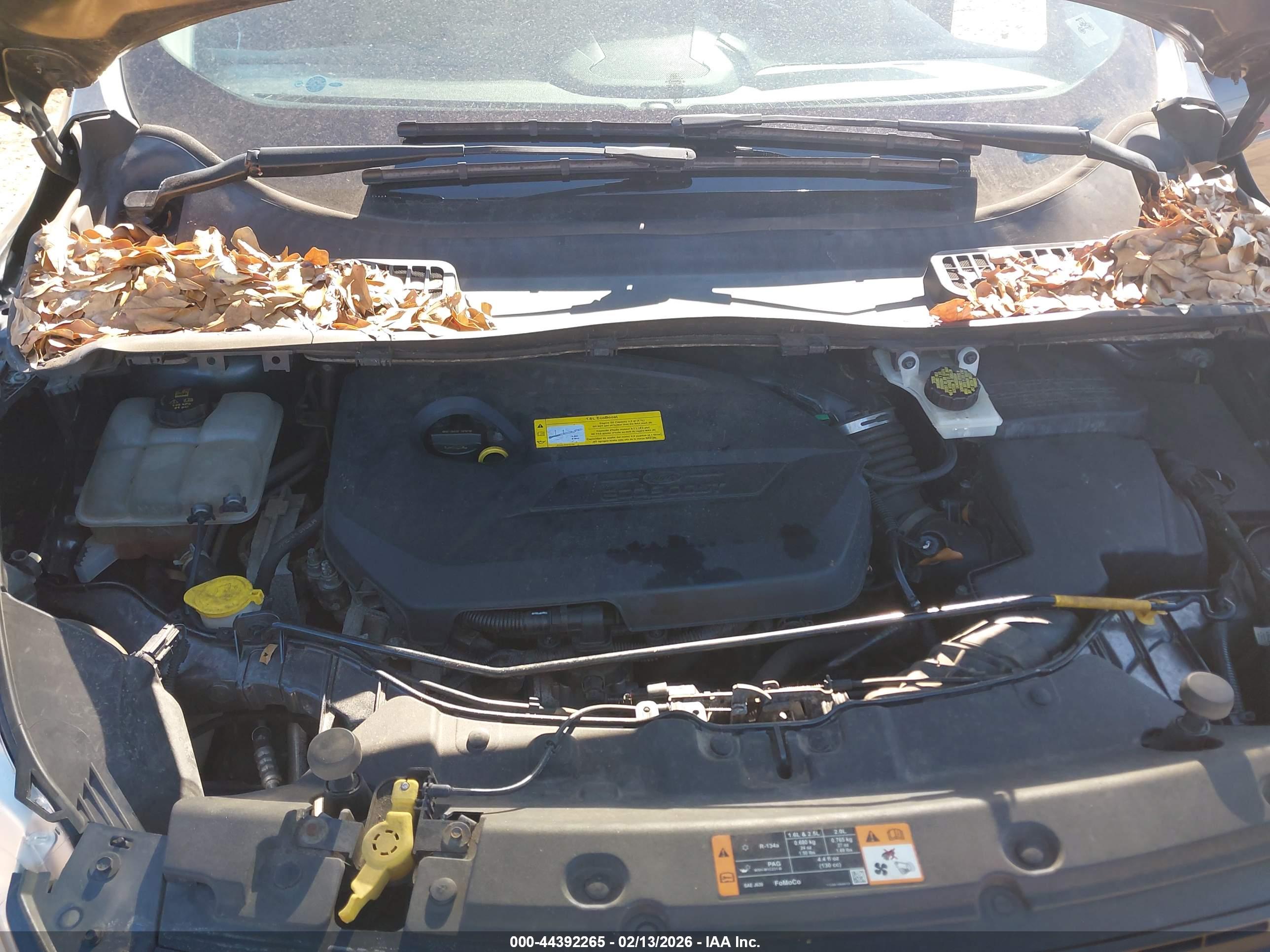 FORD ESCAPE image 10