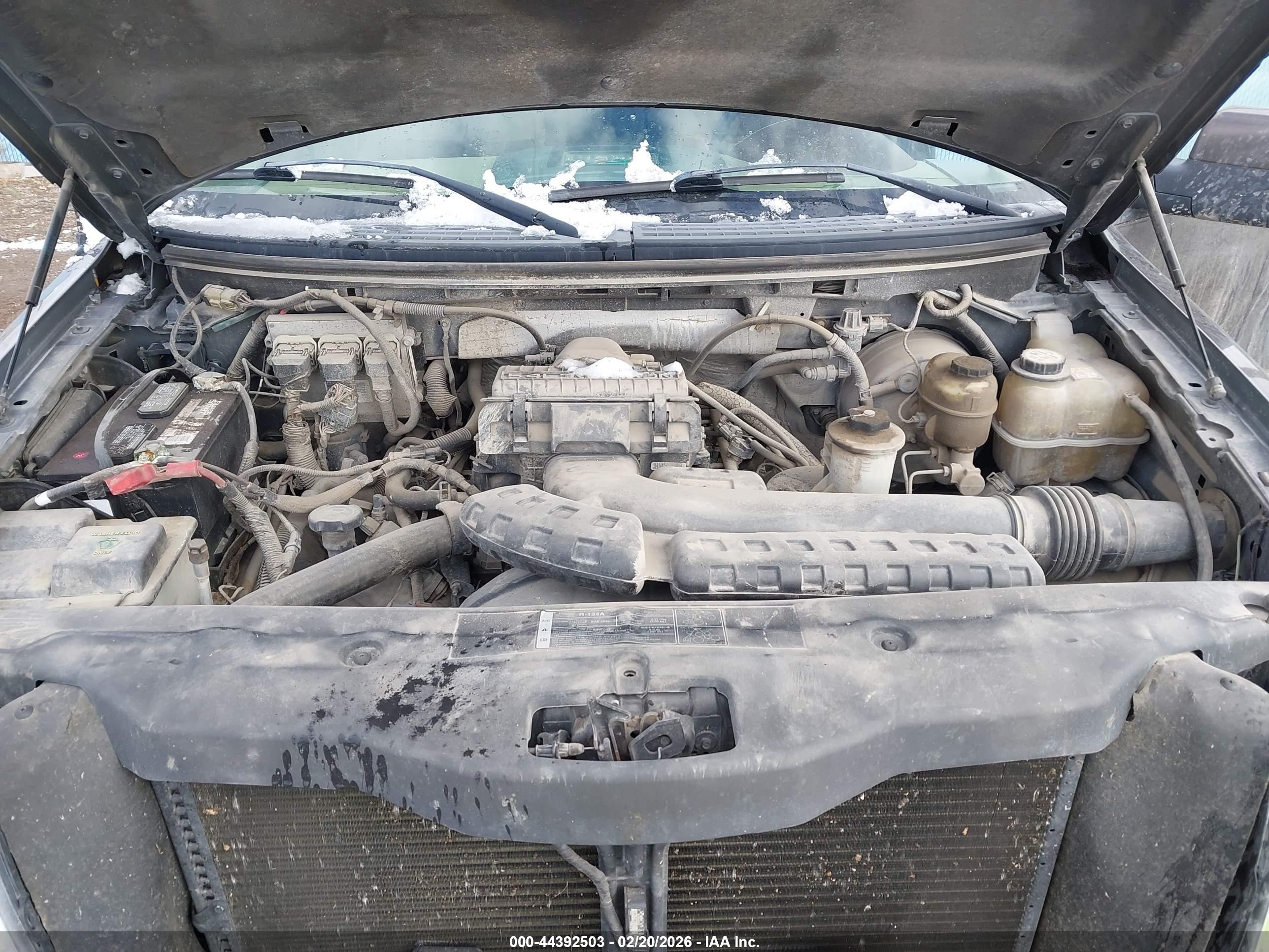 FORD F-150 image 10