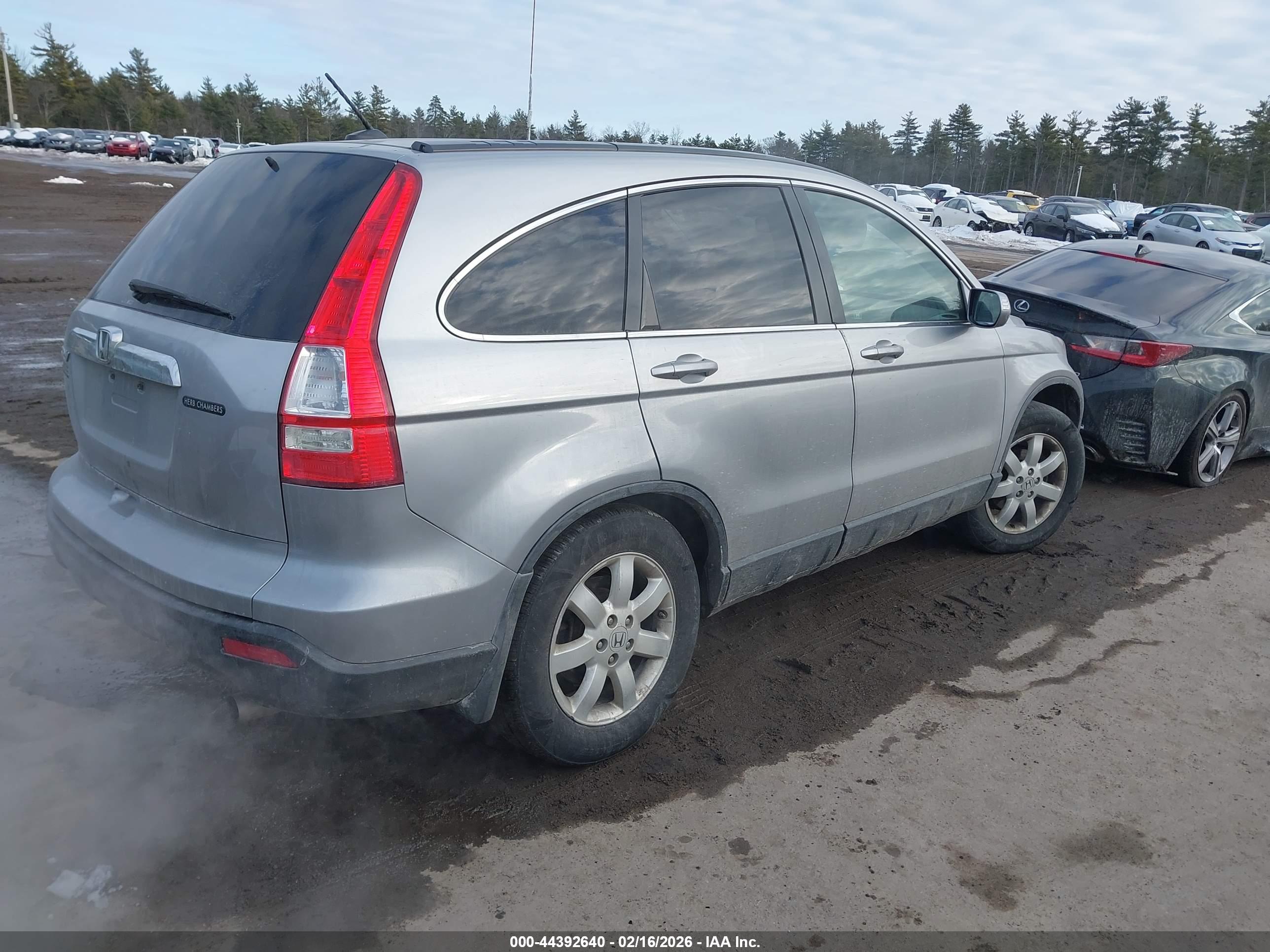 HONDA CR-V image 4