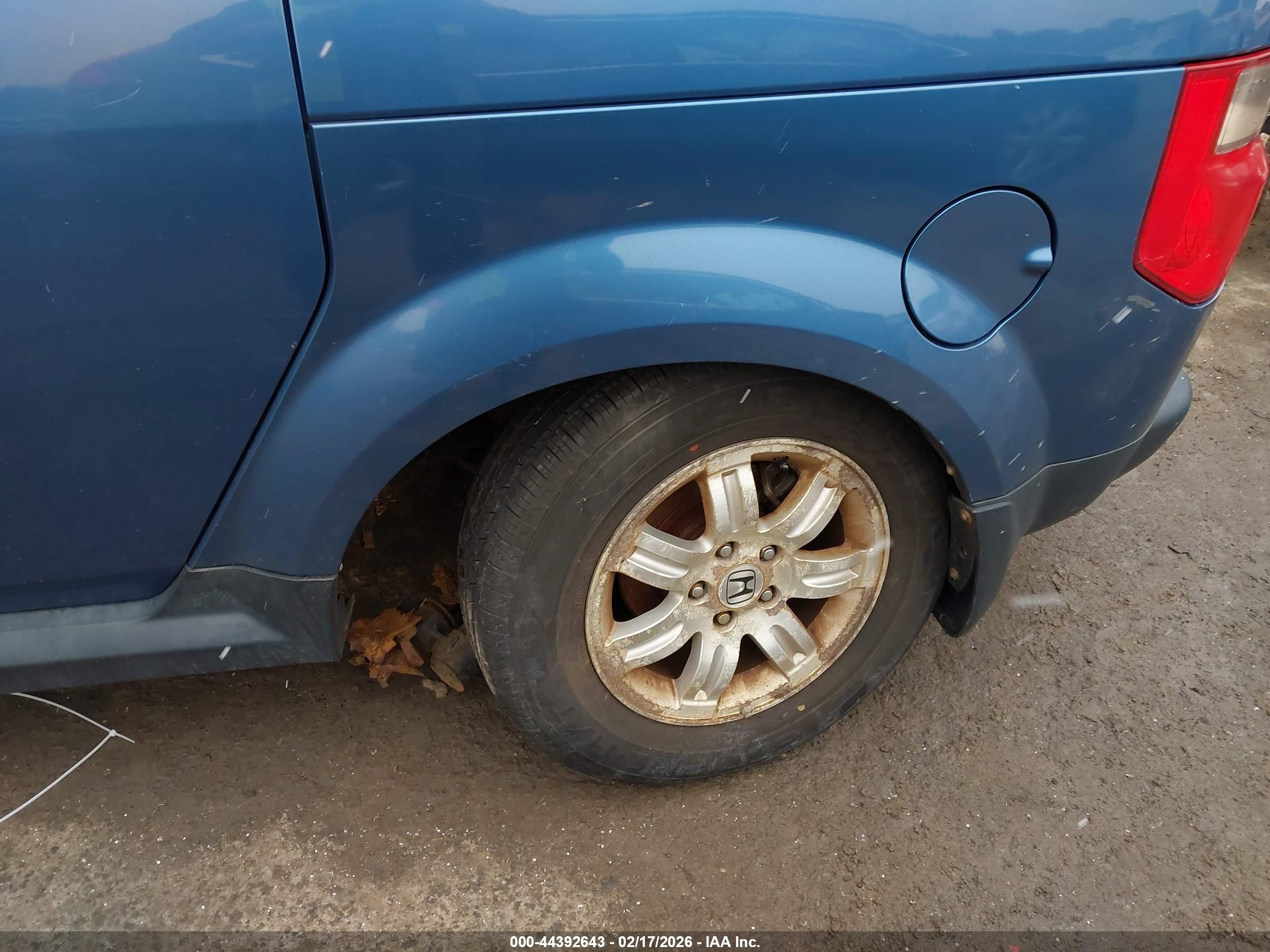 HONDA ELEMENT image 6