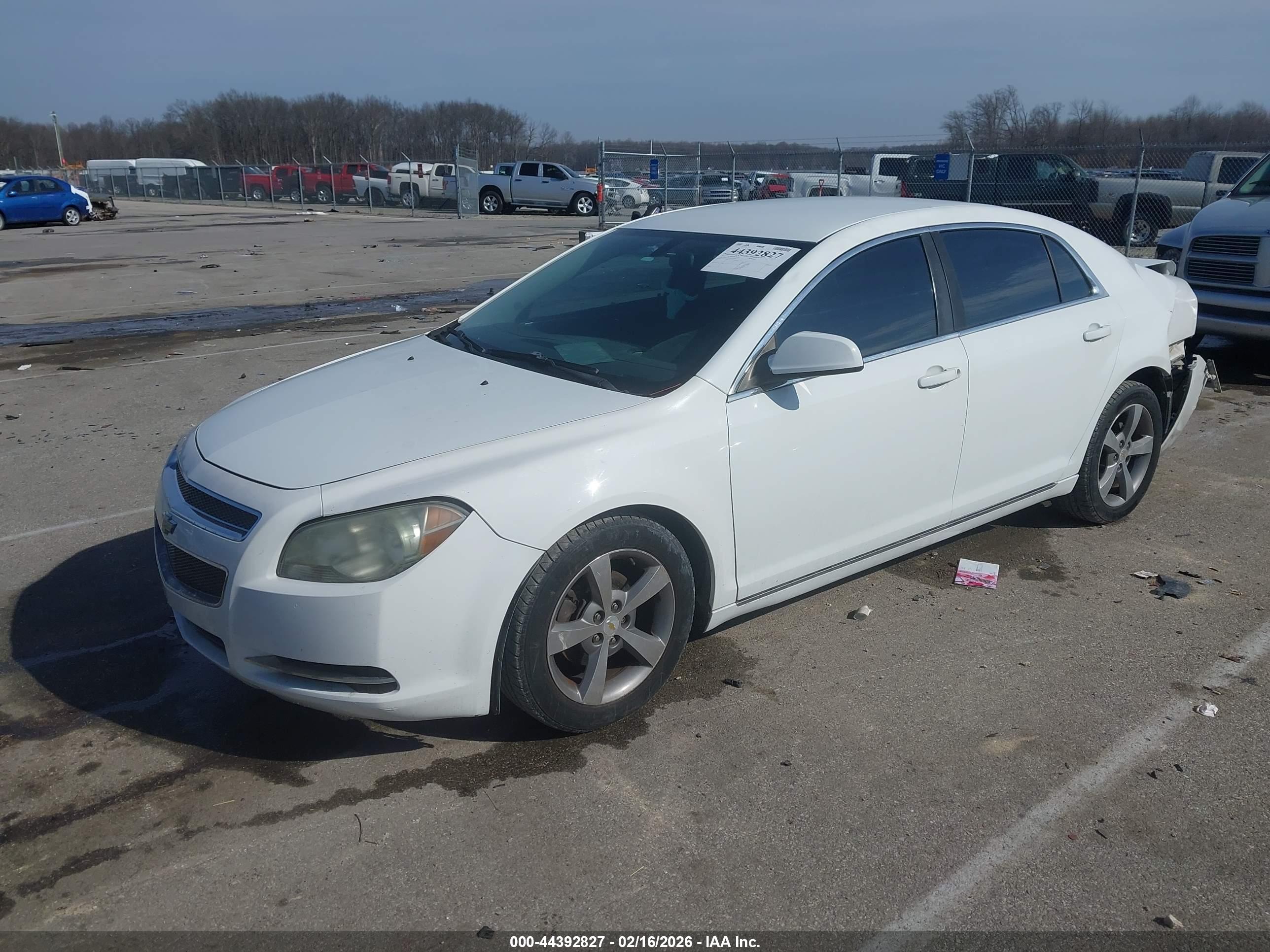 CHEVROLET MALIBU image 2