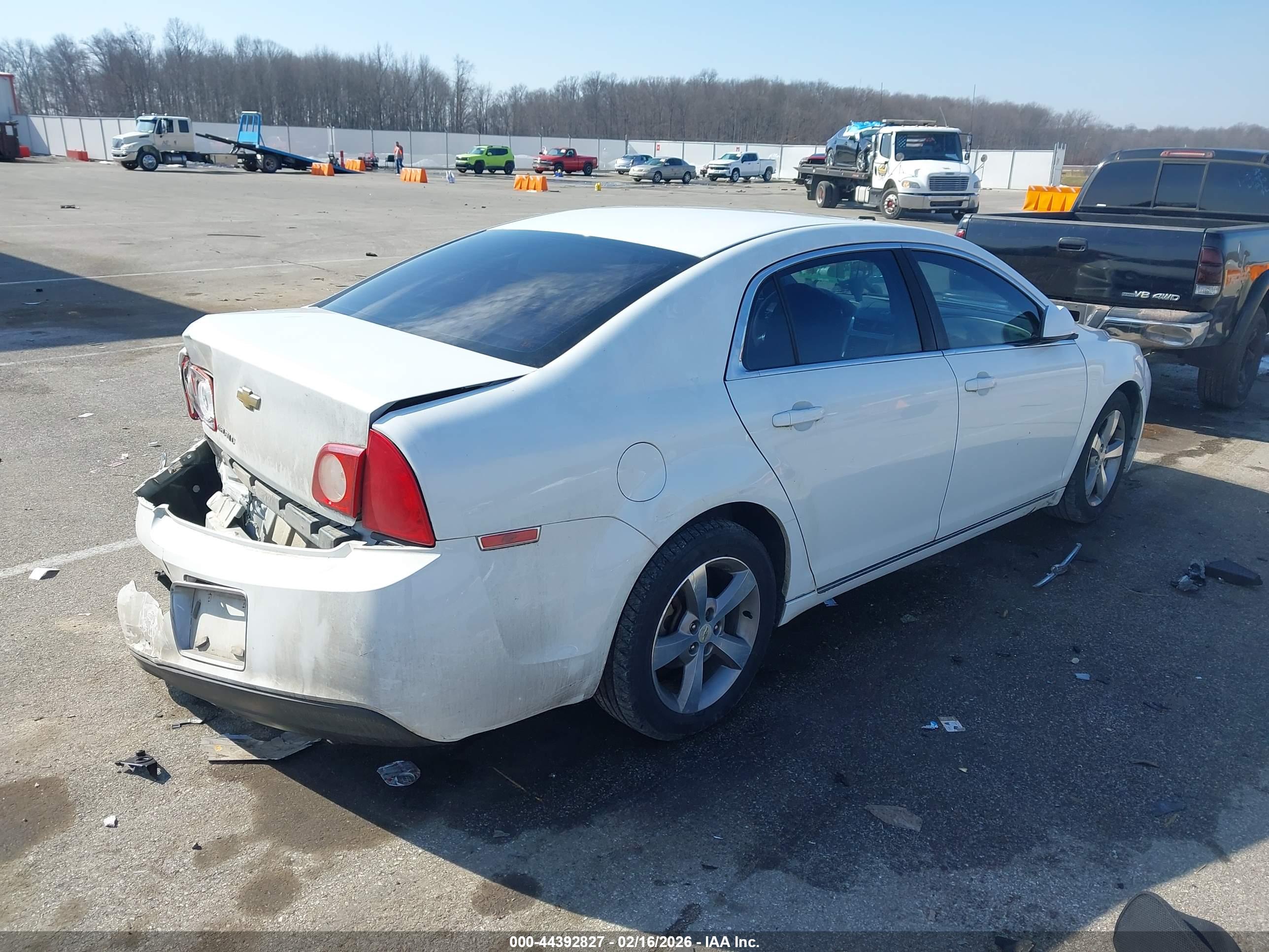 CHEVROLET MALIBU image 4