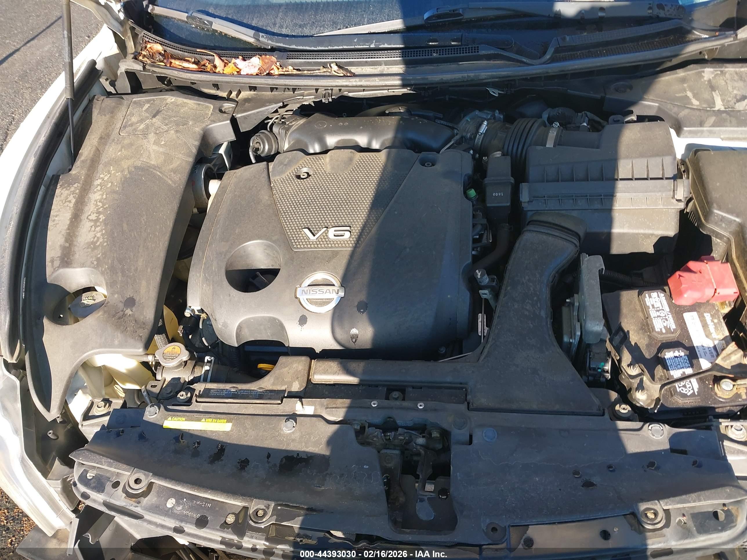 NISSAN MAXIMA image 10