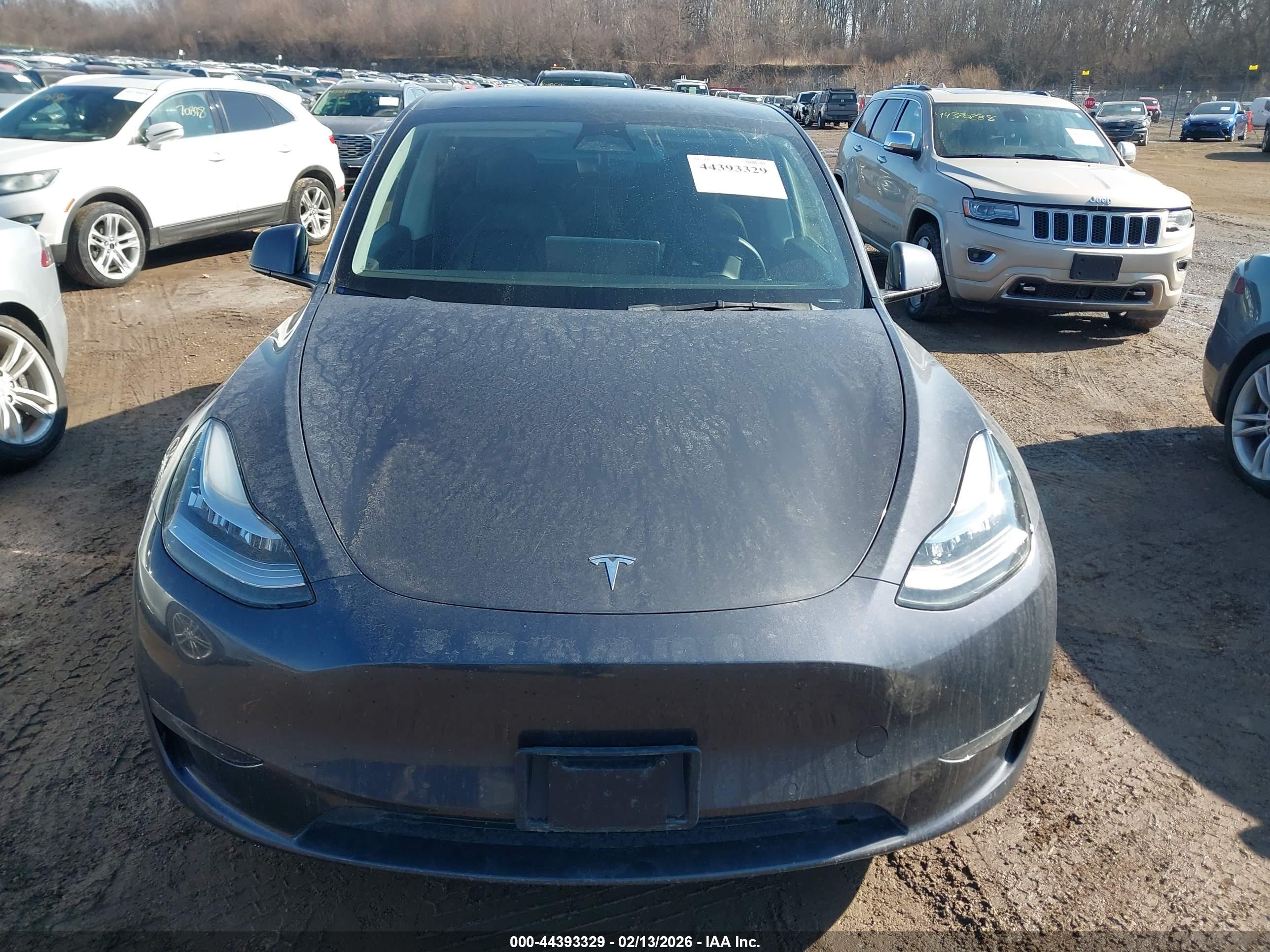 TESLA MODEL image 6