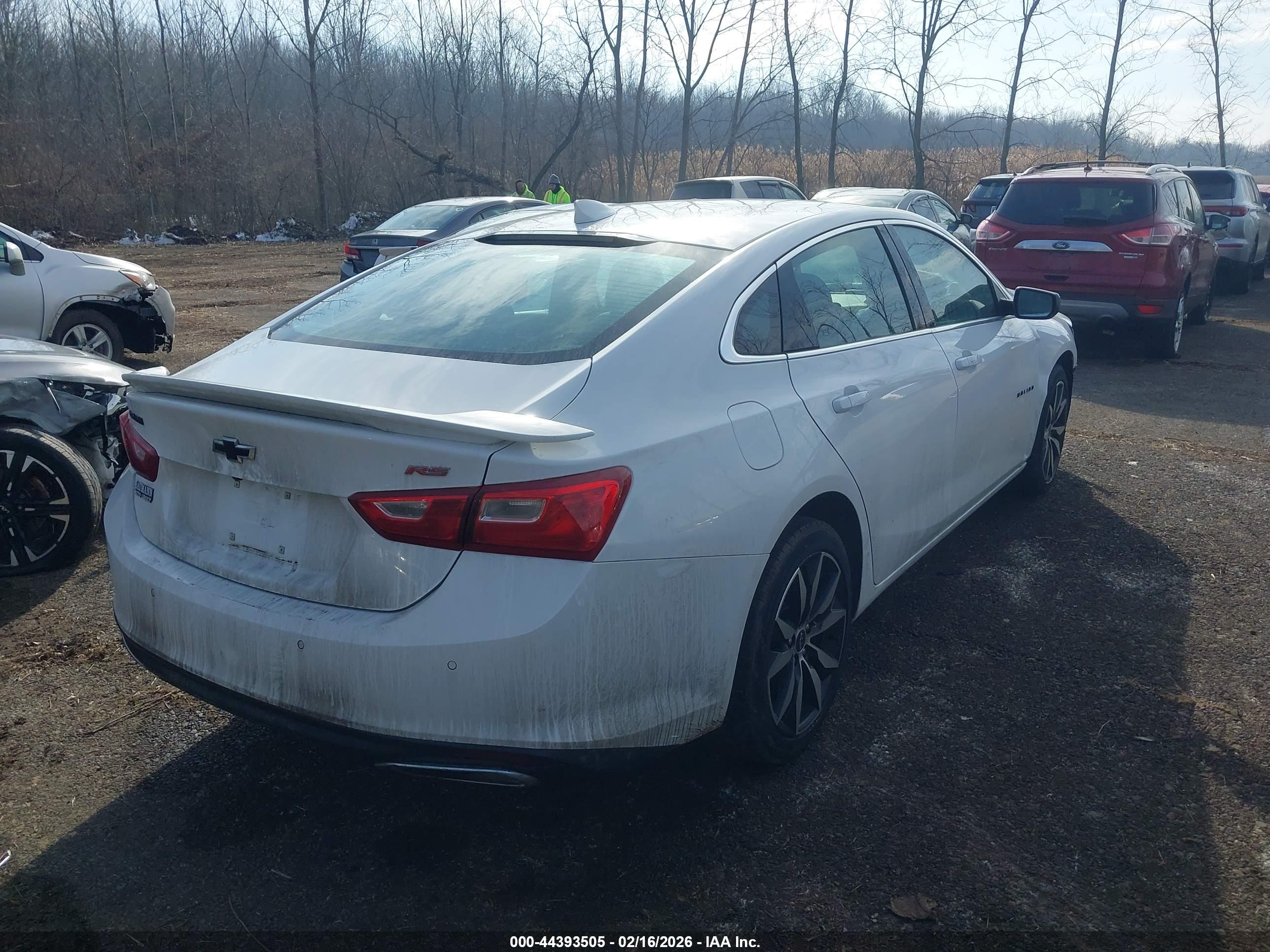 CHEVROLET MALIBU image 4