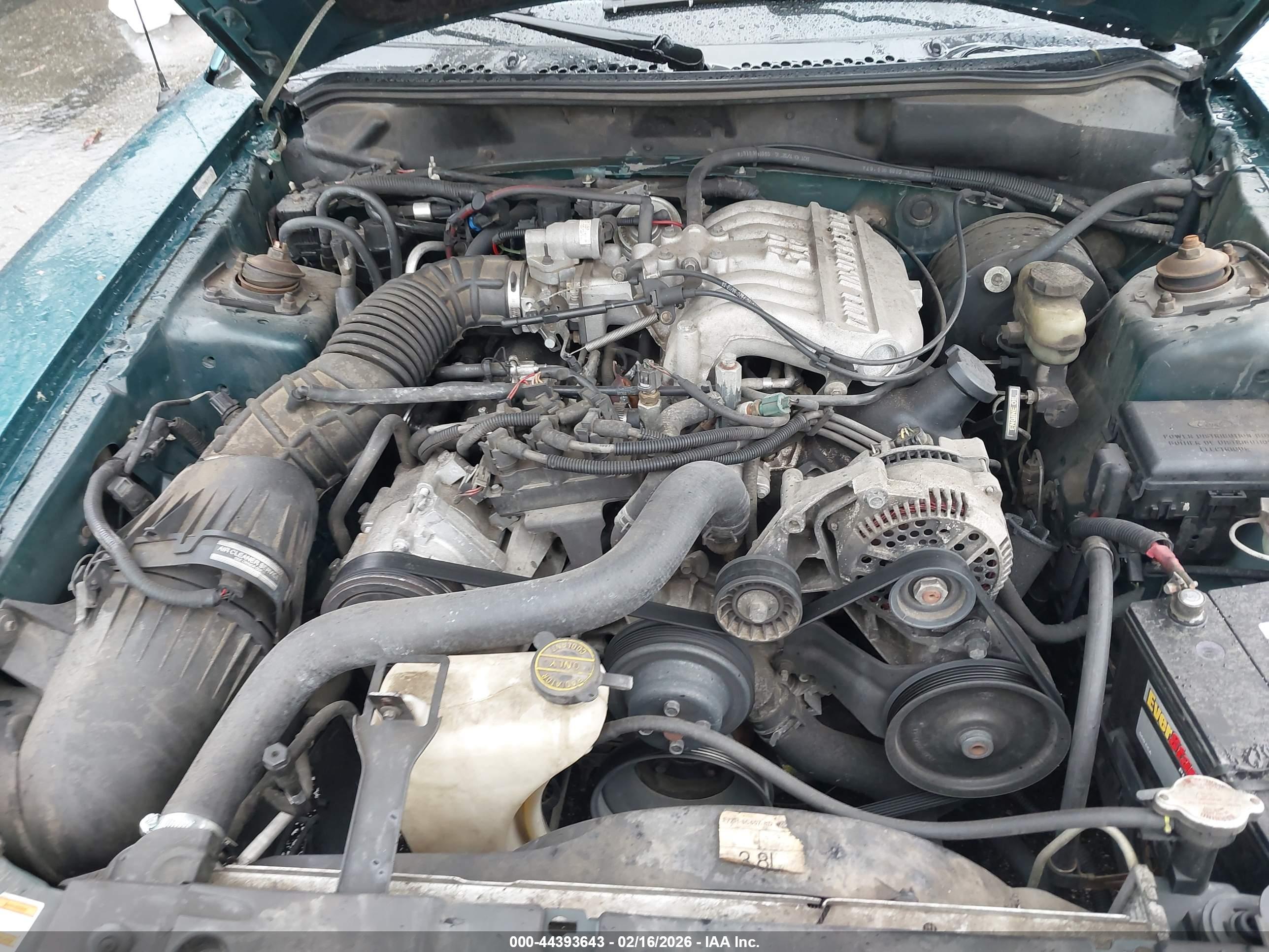 FORD MUSTANG image 10