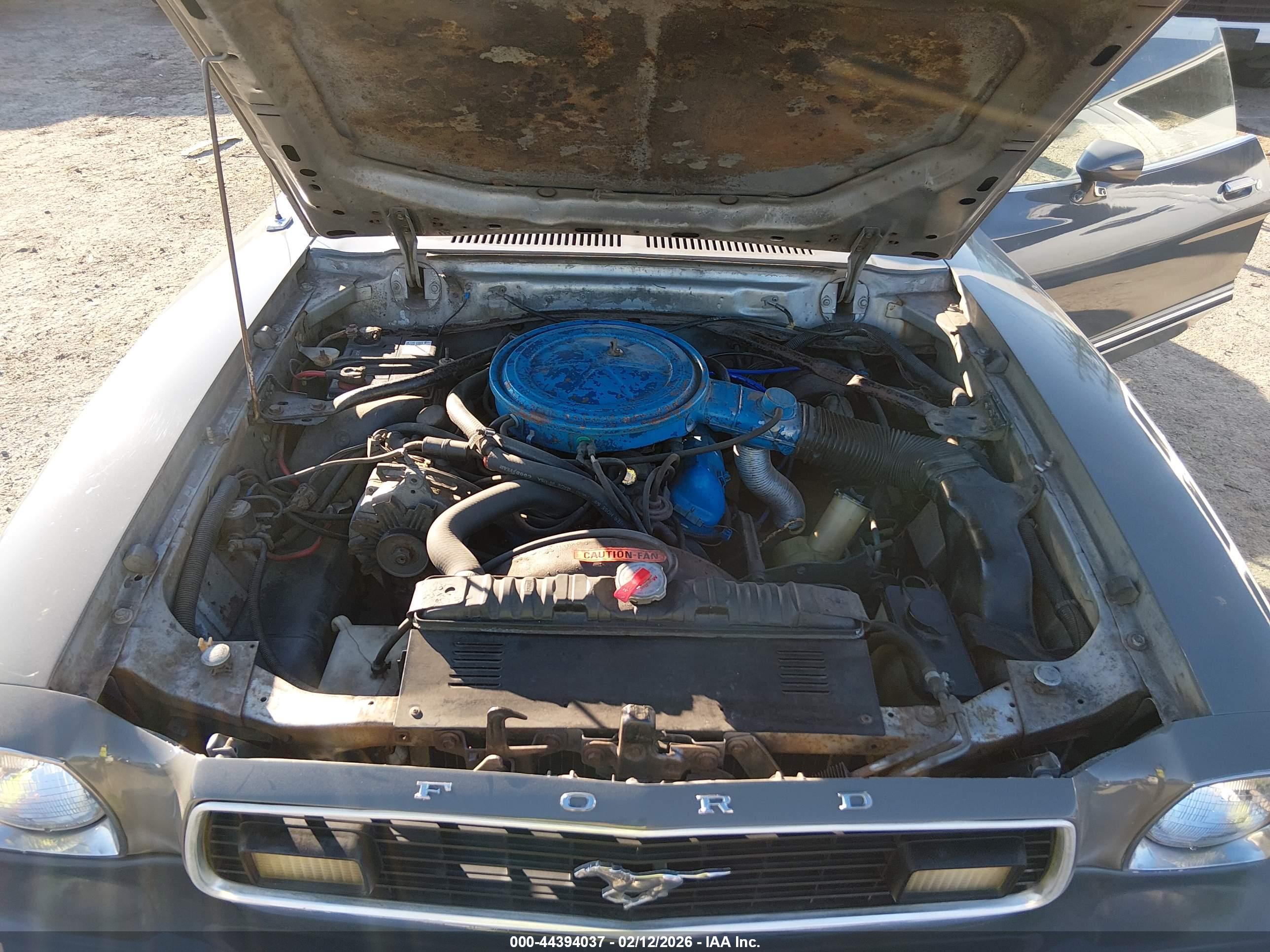 FORD MUSTANG image 10