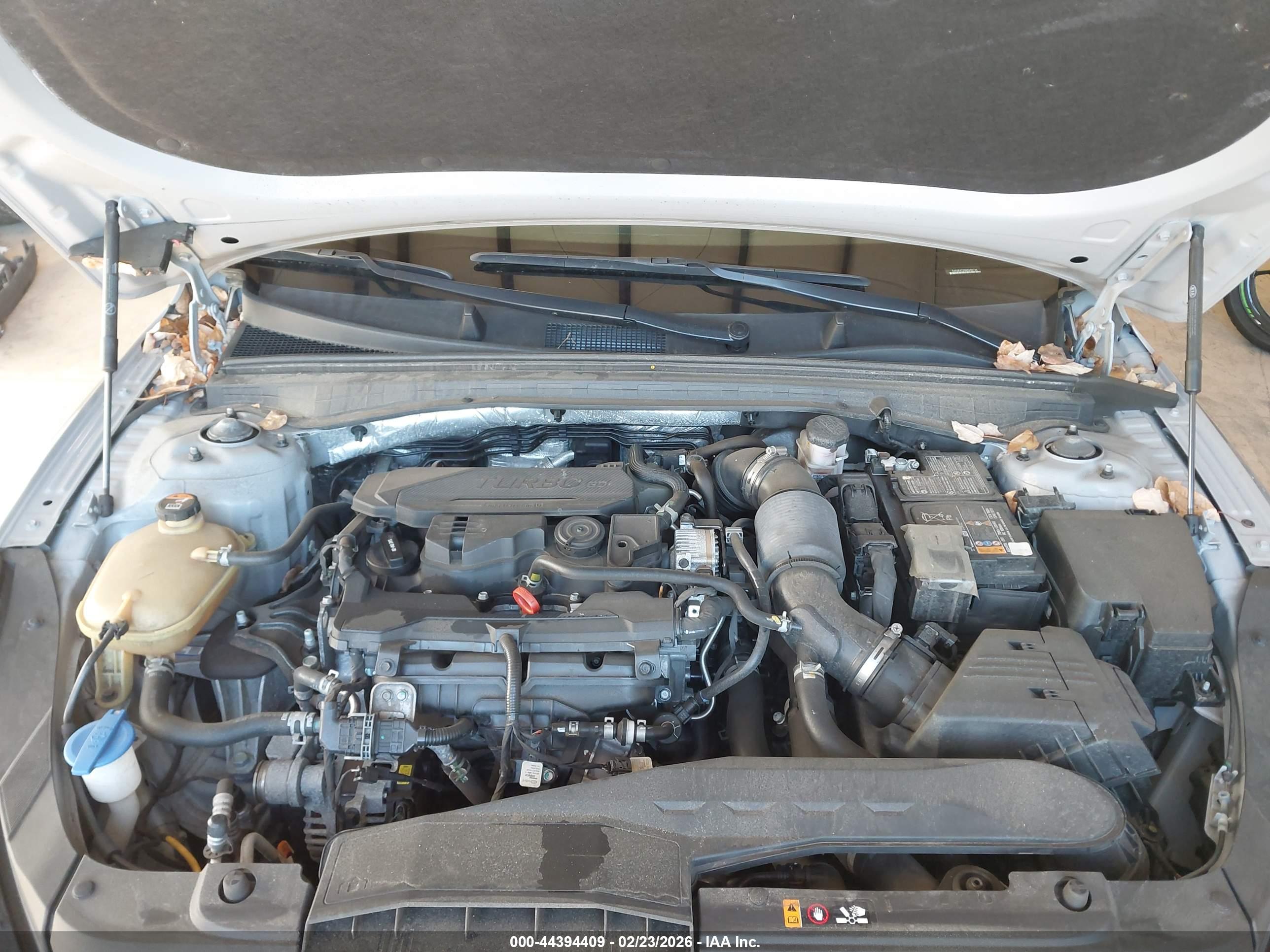 KIA K5 image 10
