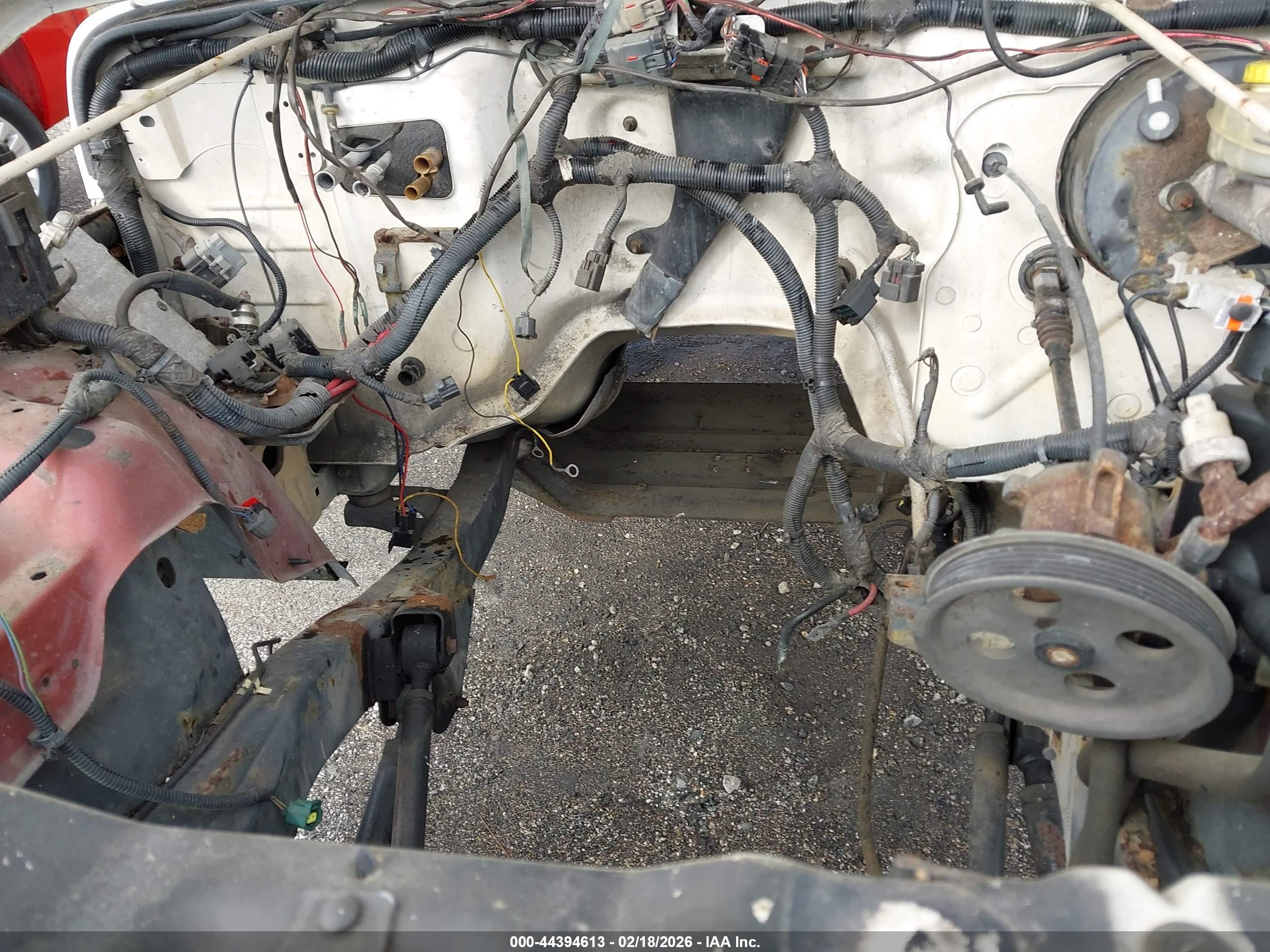 JEEP WRANGLER image 6