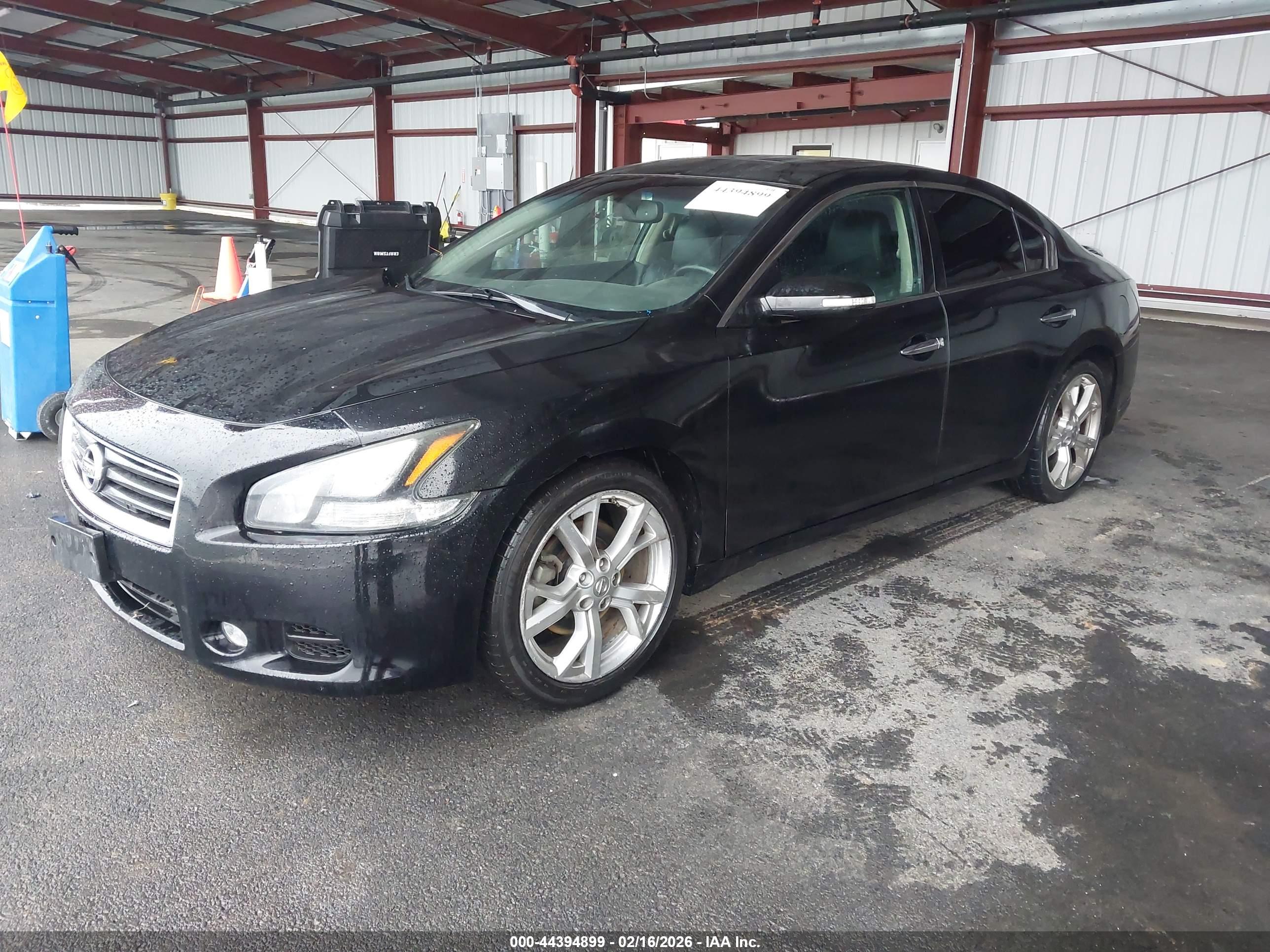 NISSAN MAXIMA image 2