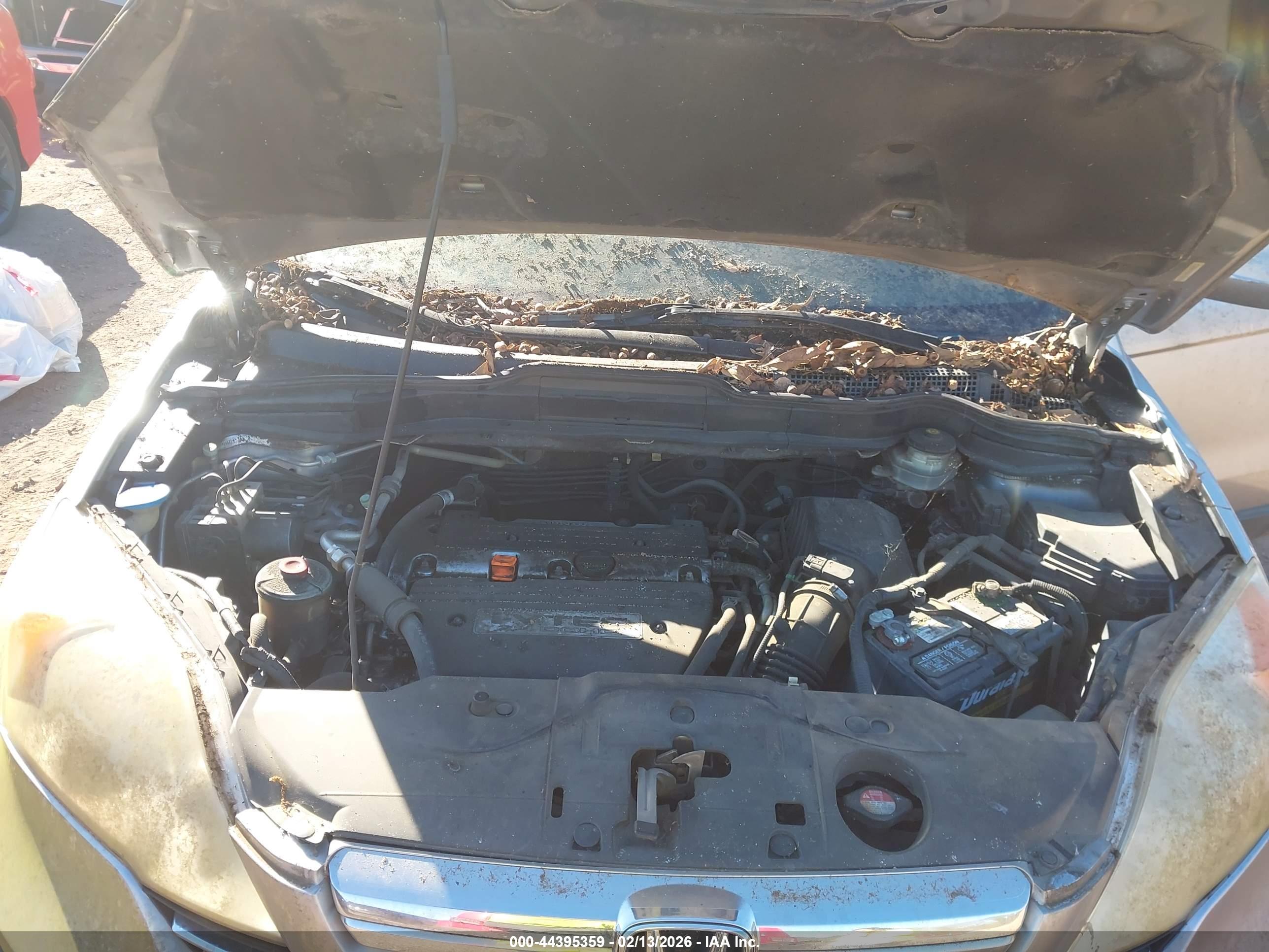 HONDA CR-V image 10
