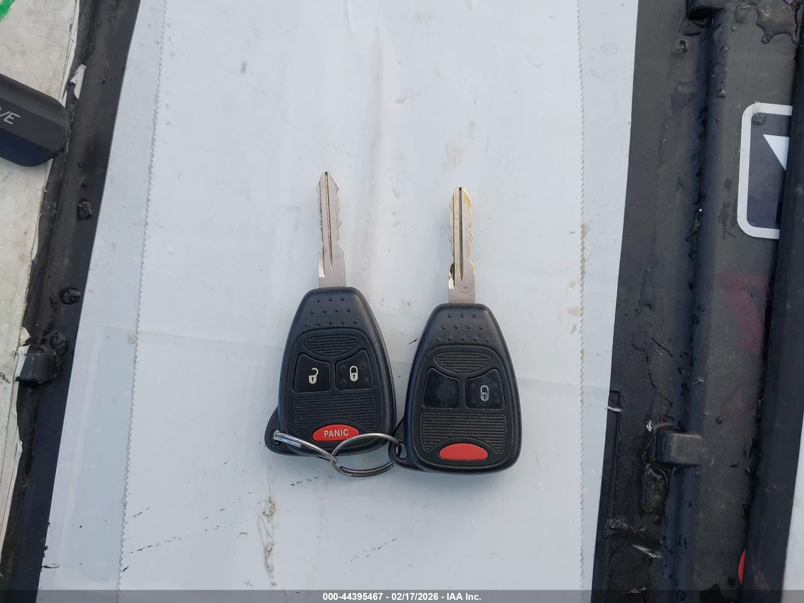 JEEP WRANGLER image 11