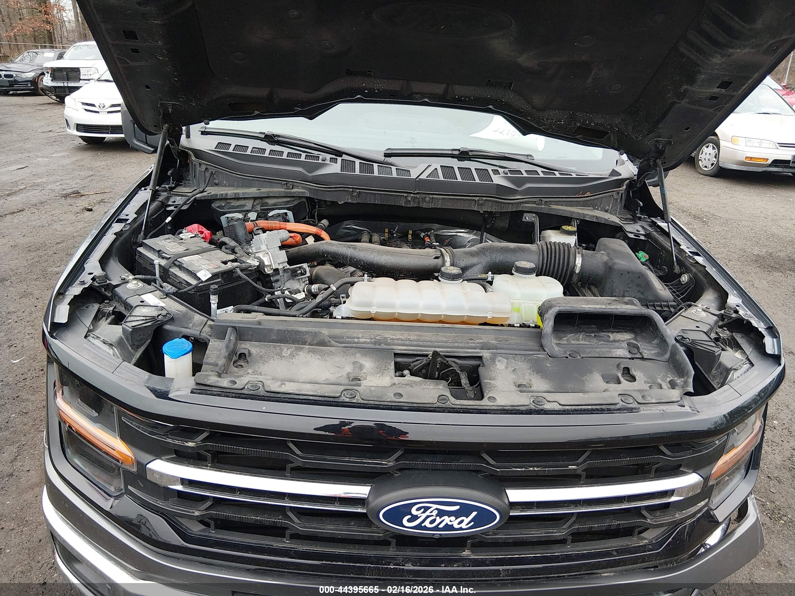 FORD F-150 image 10