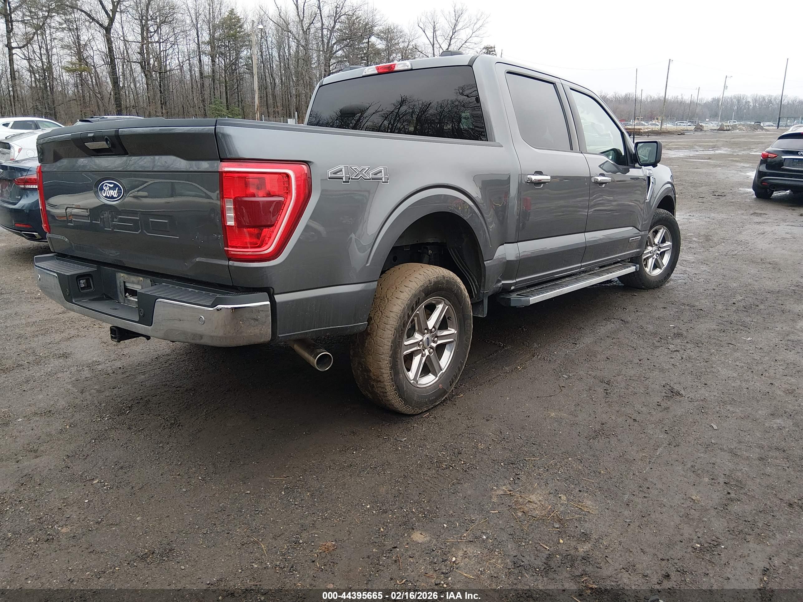 FORD F-150 image 4