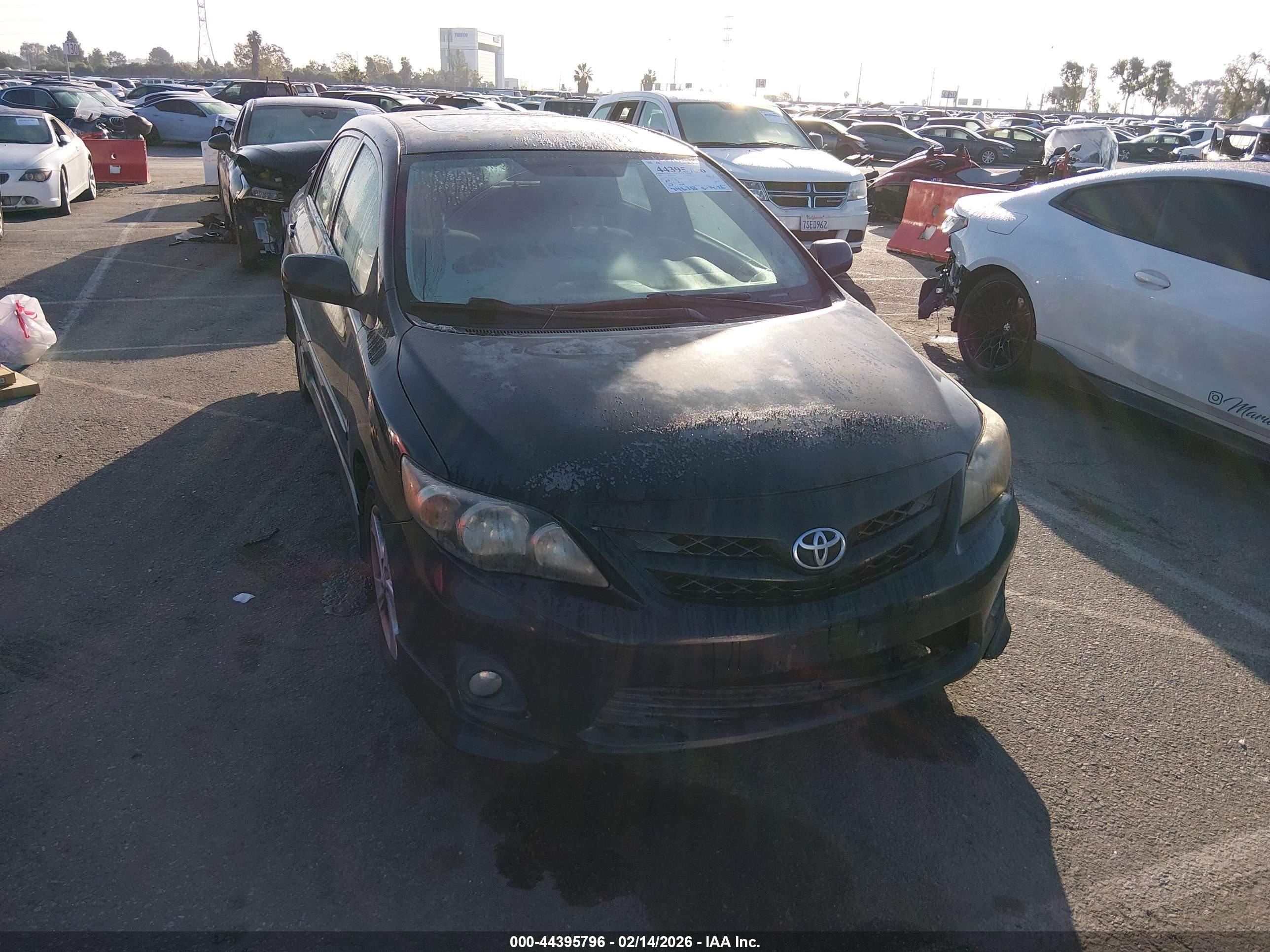 TOYOTA COROLLA image 6
