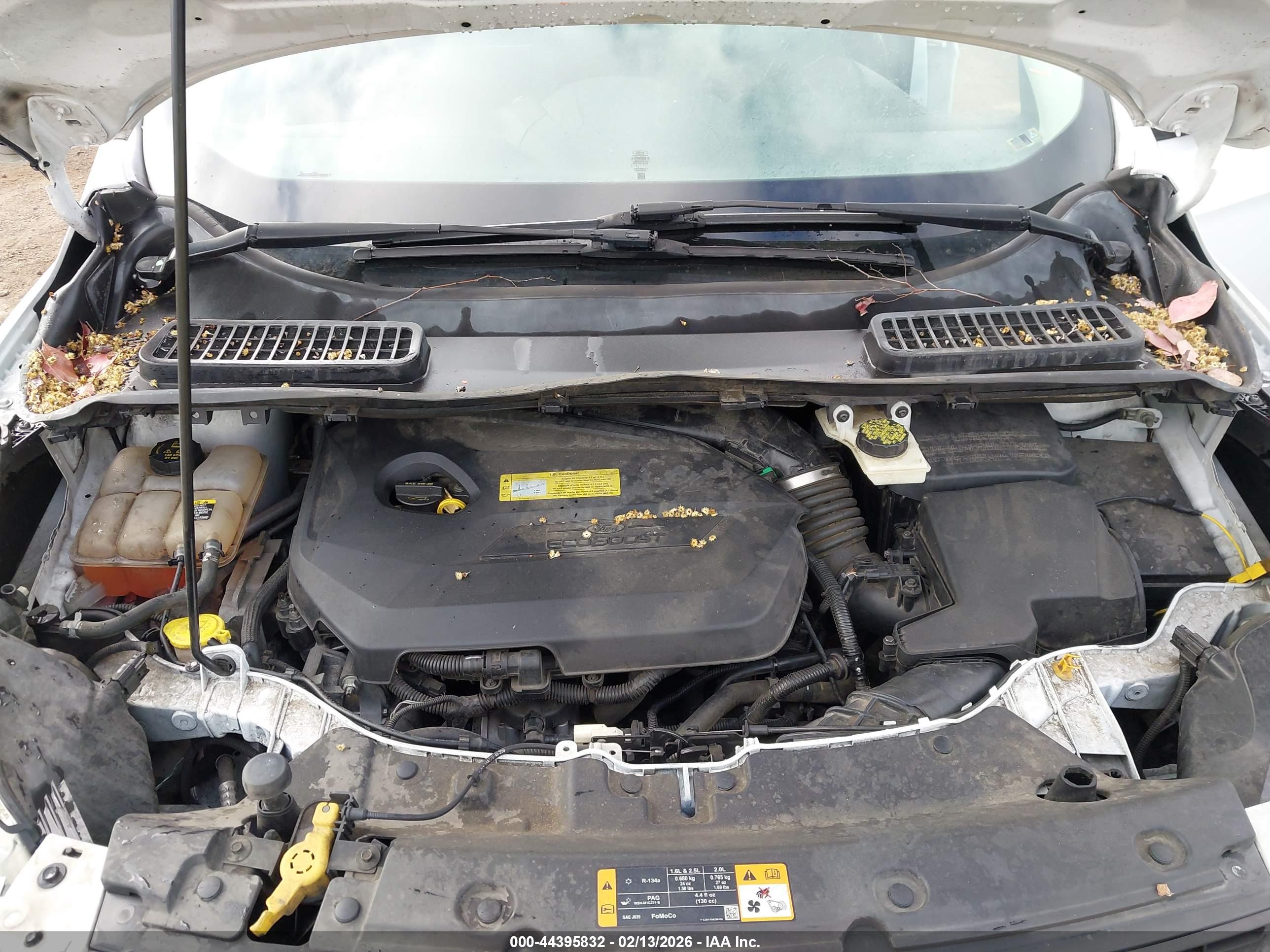 FORD ESCAPE image 10