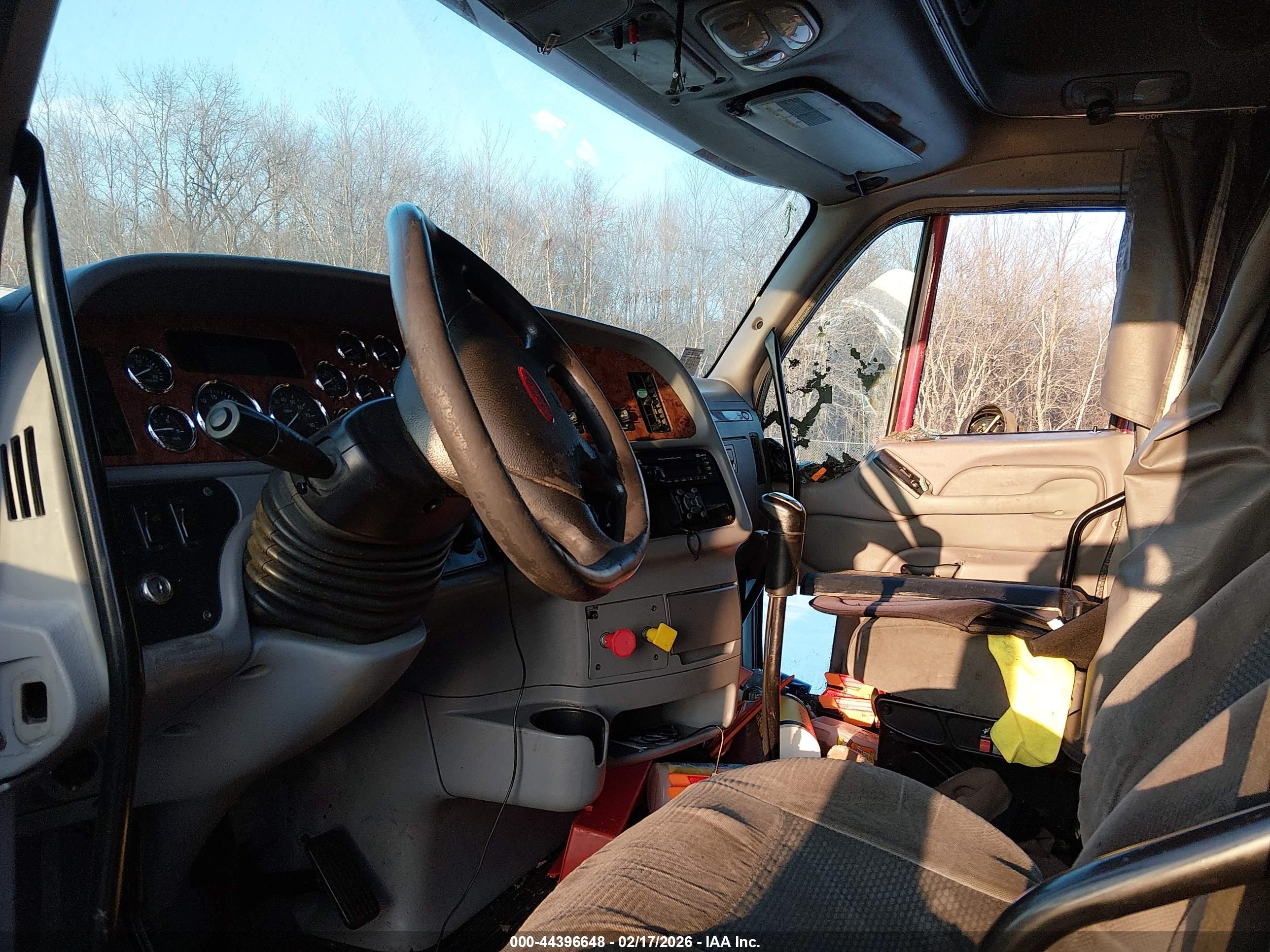 PETERBILT 387 image 8