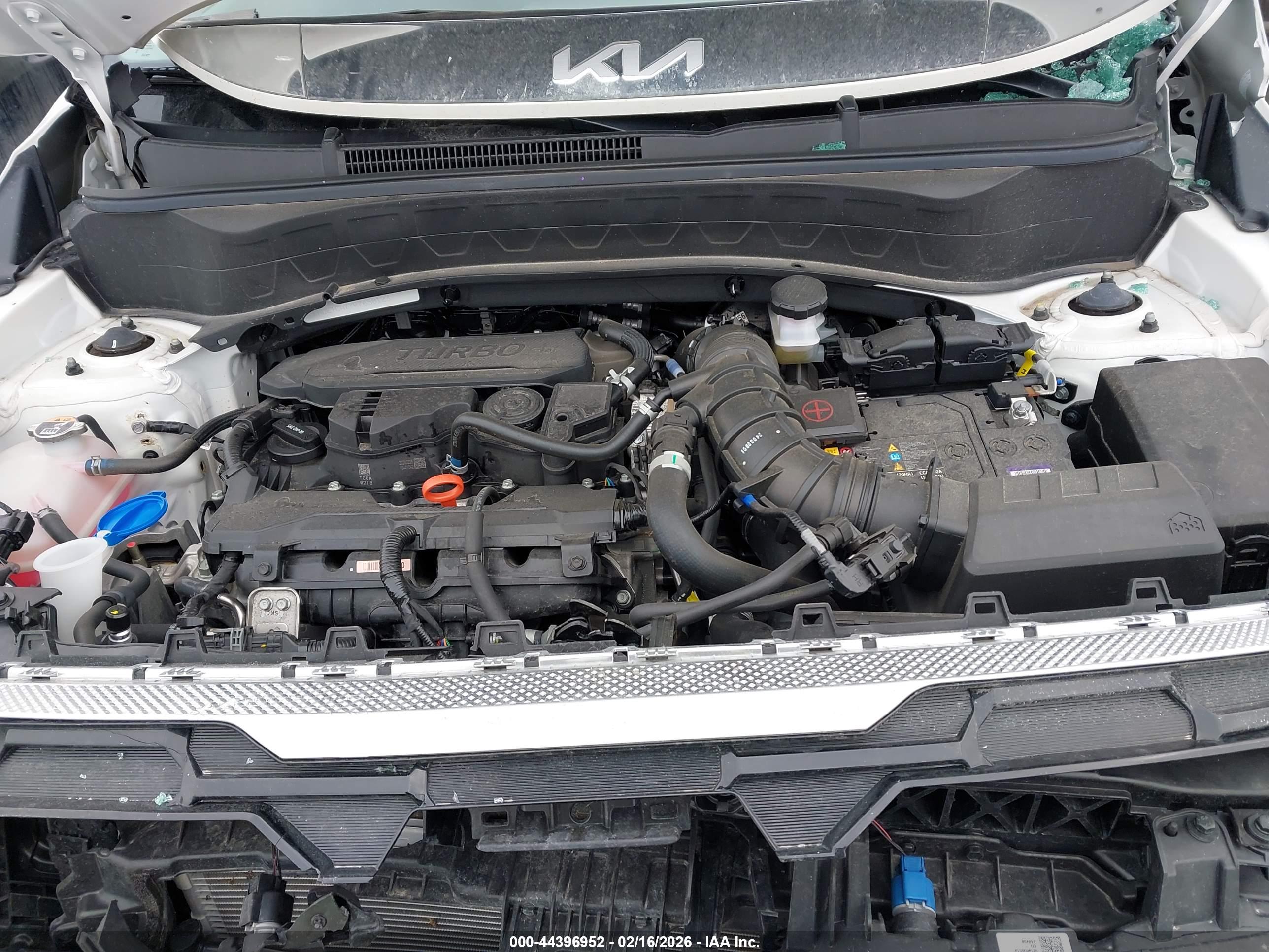 KIA SELTOS image 10