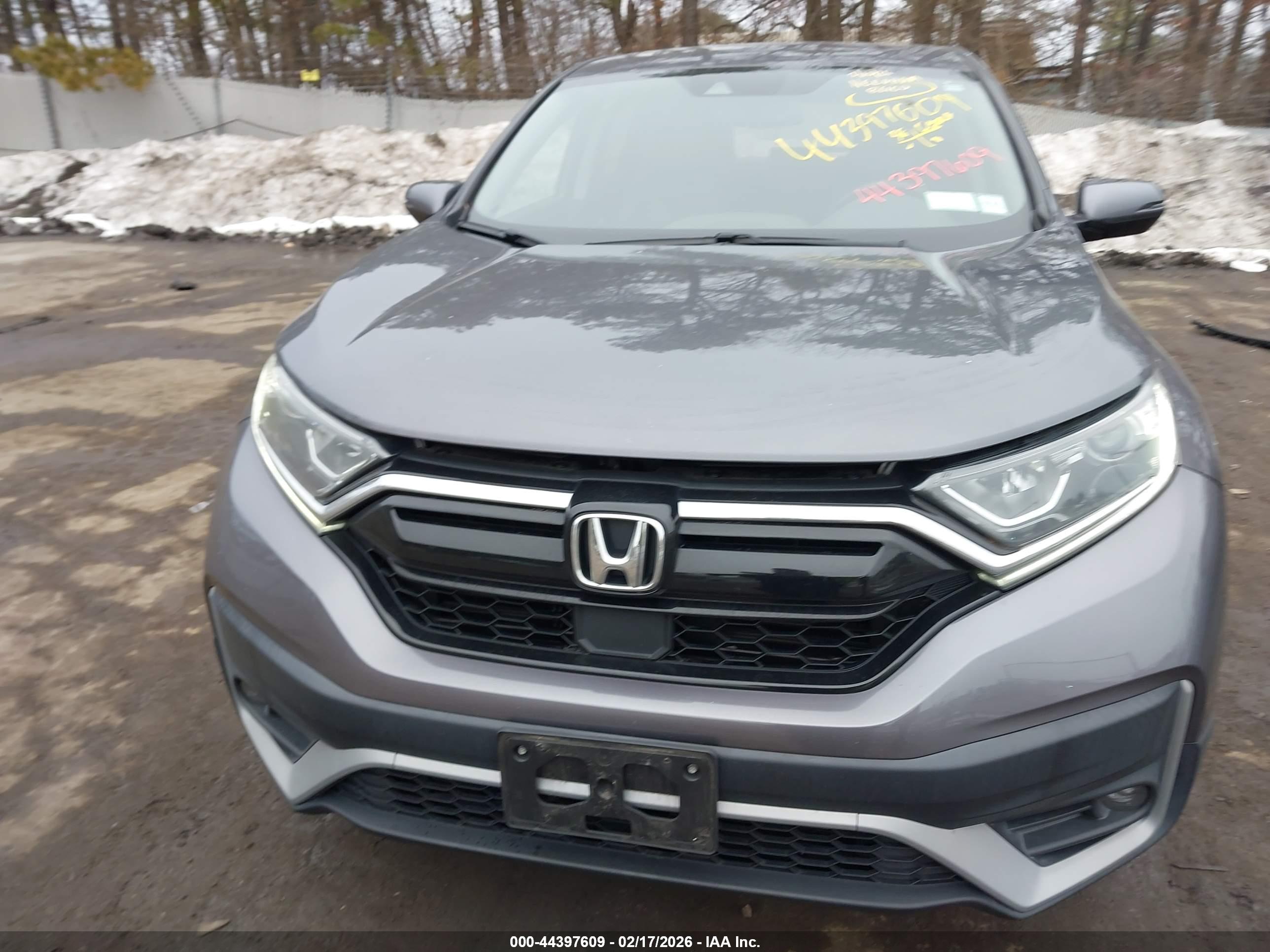 HONDA CR-V image 6