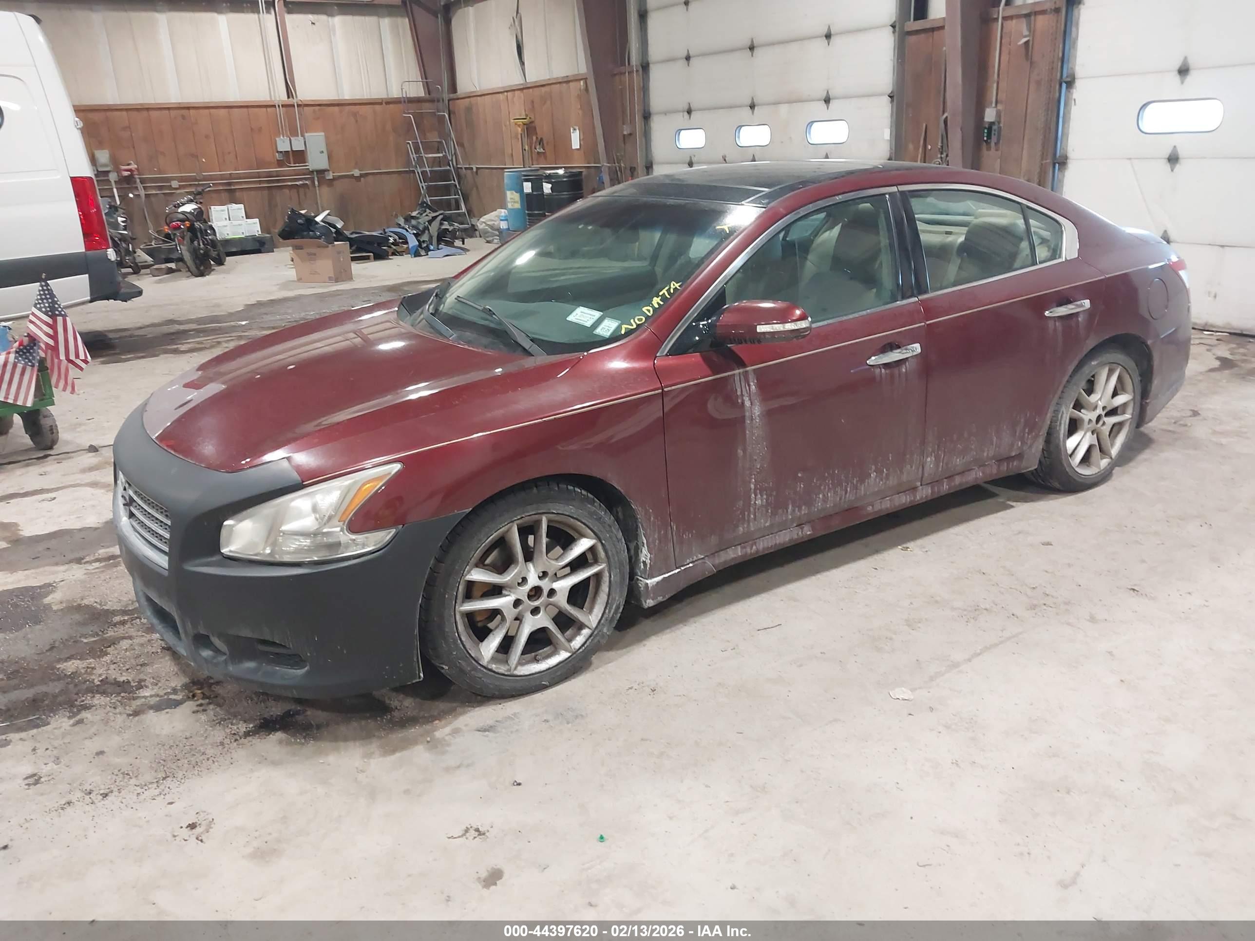 NISSAN MAXIMA image 2