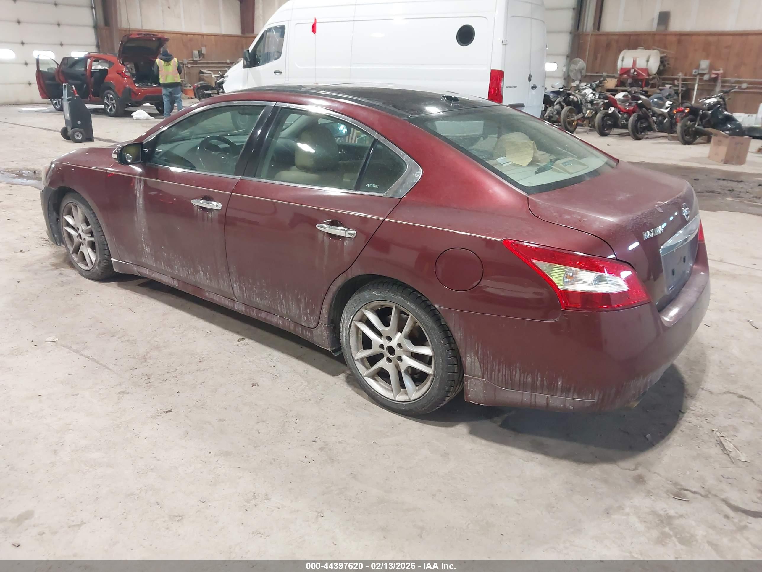 NISSAN MAXIMA image 3