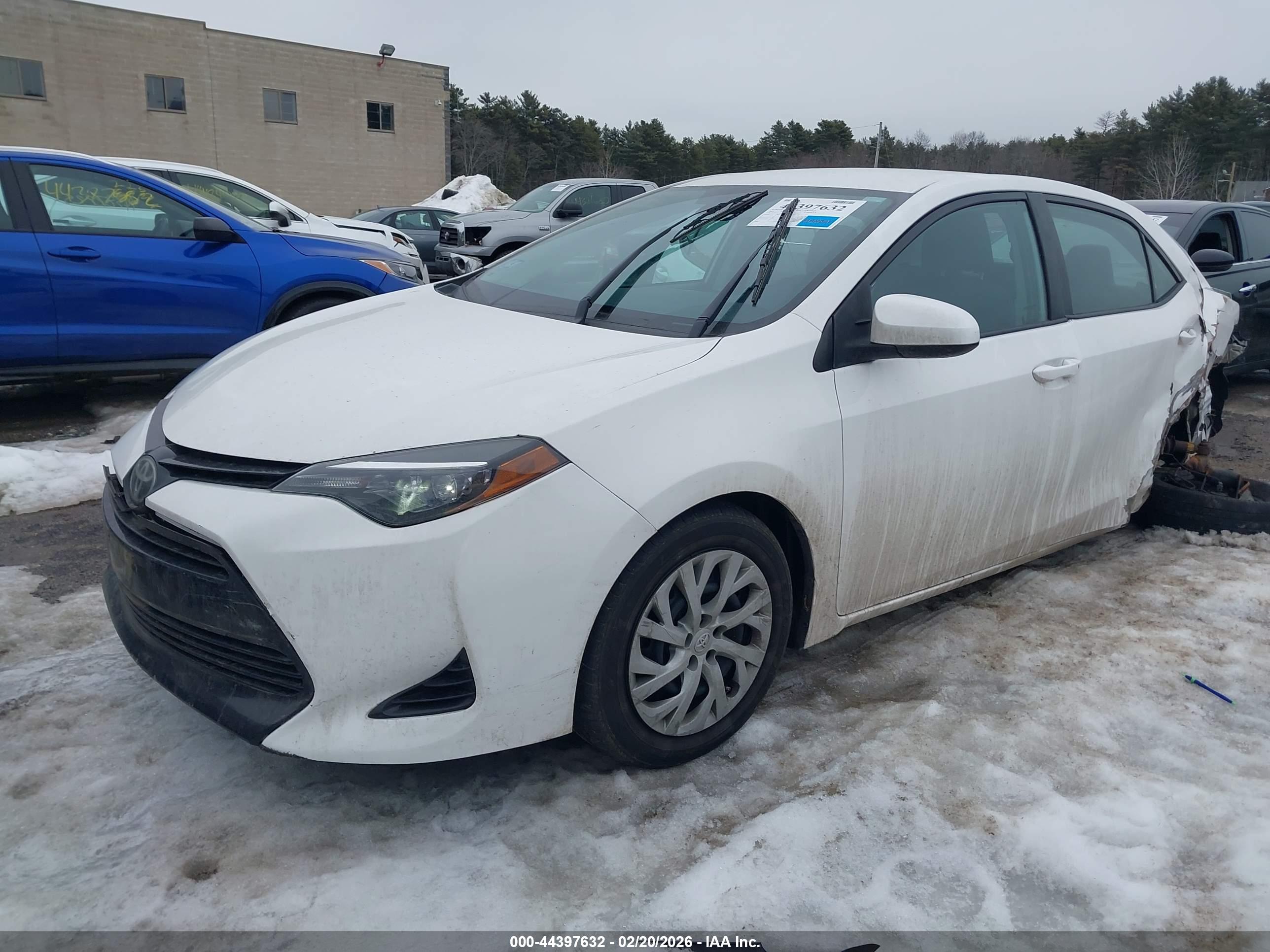 TOYOTA COROLLA image 2