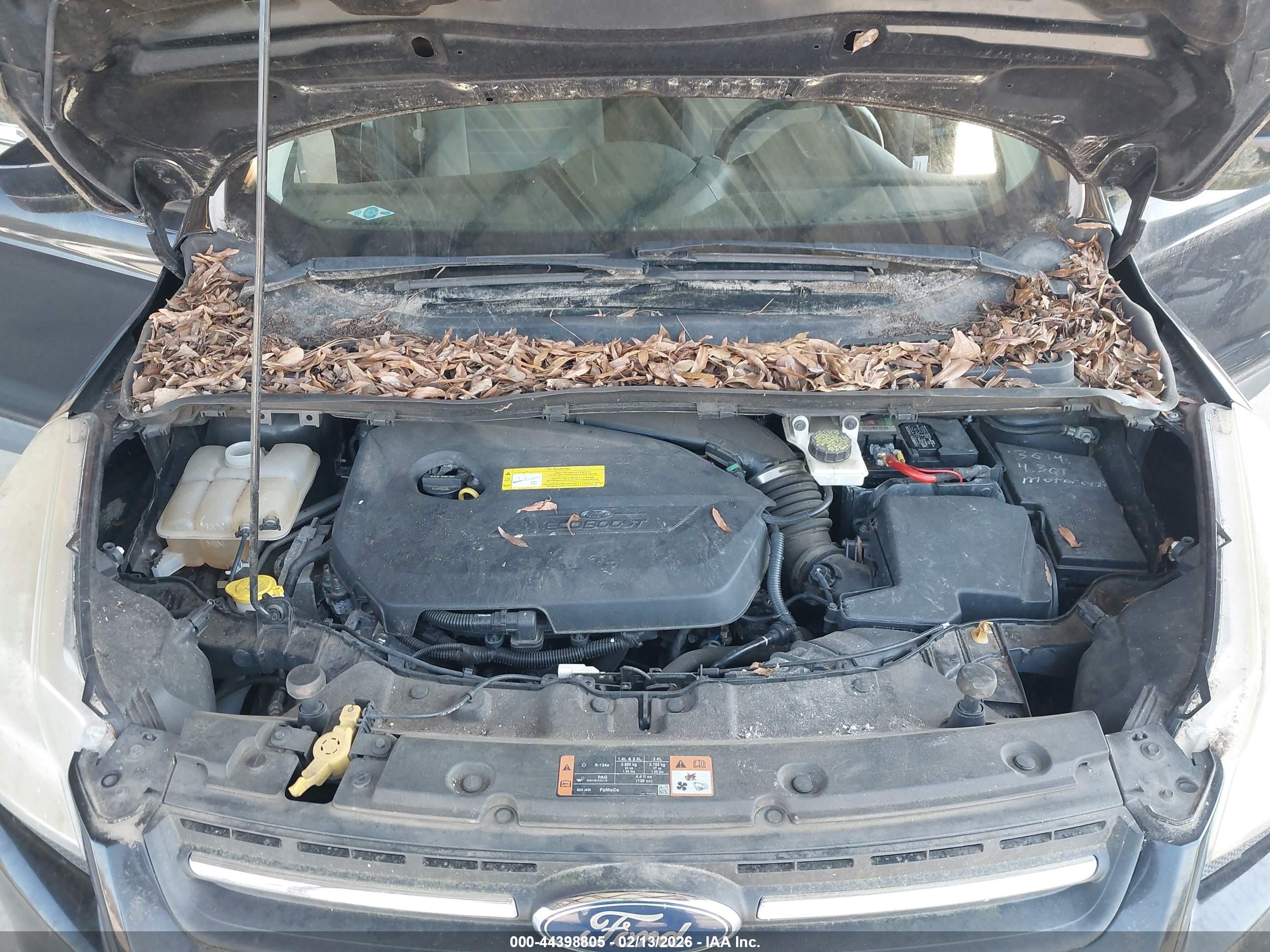 FORD ESCAPE image 10