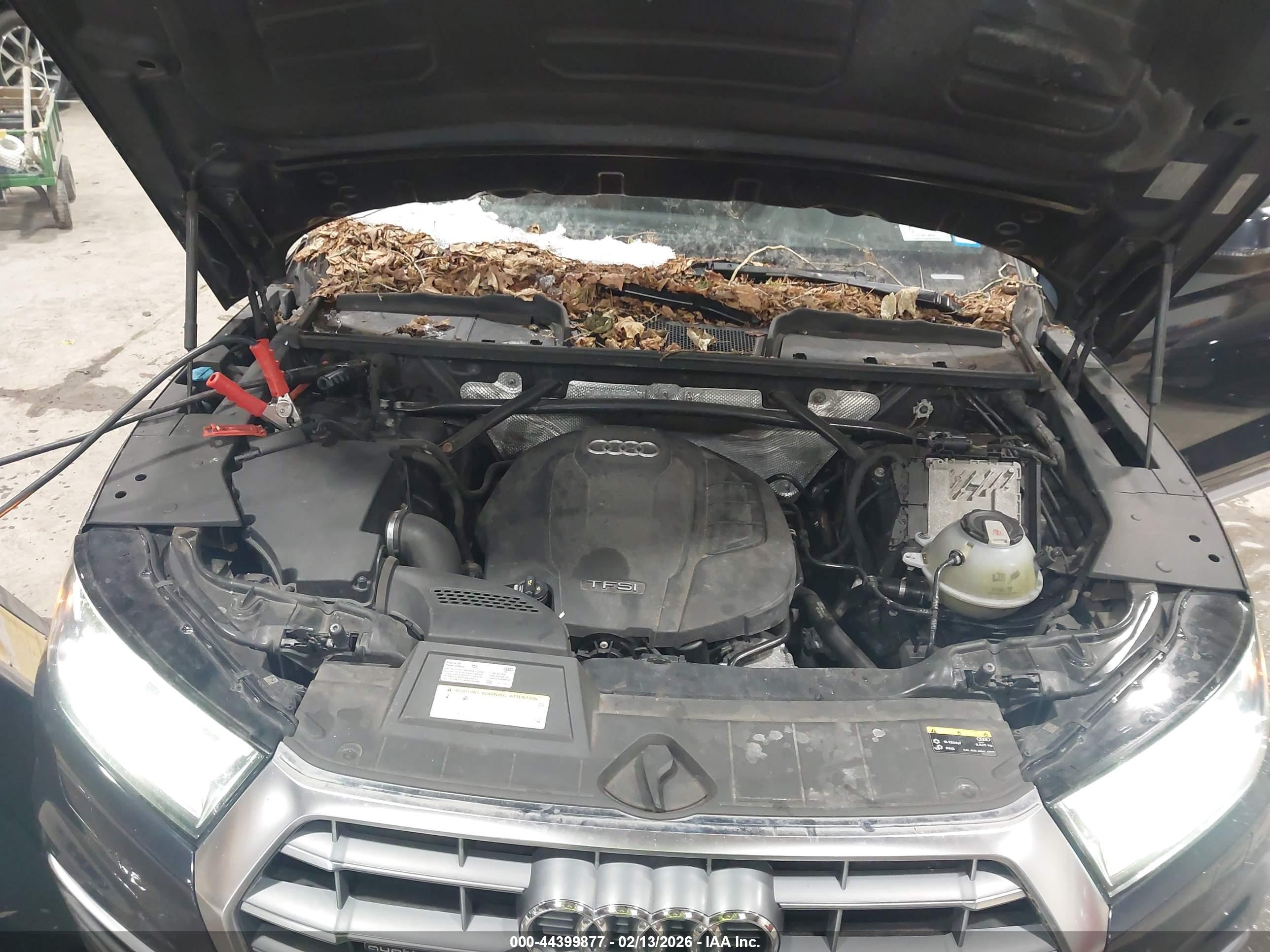 AUDI Q5 image 10