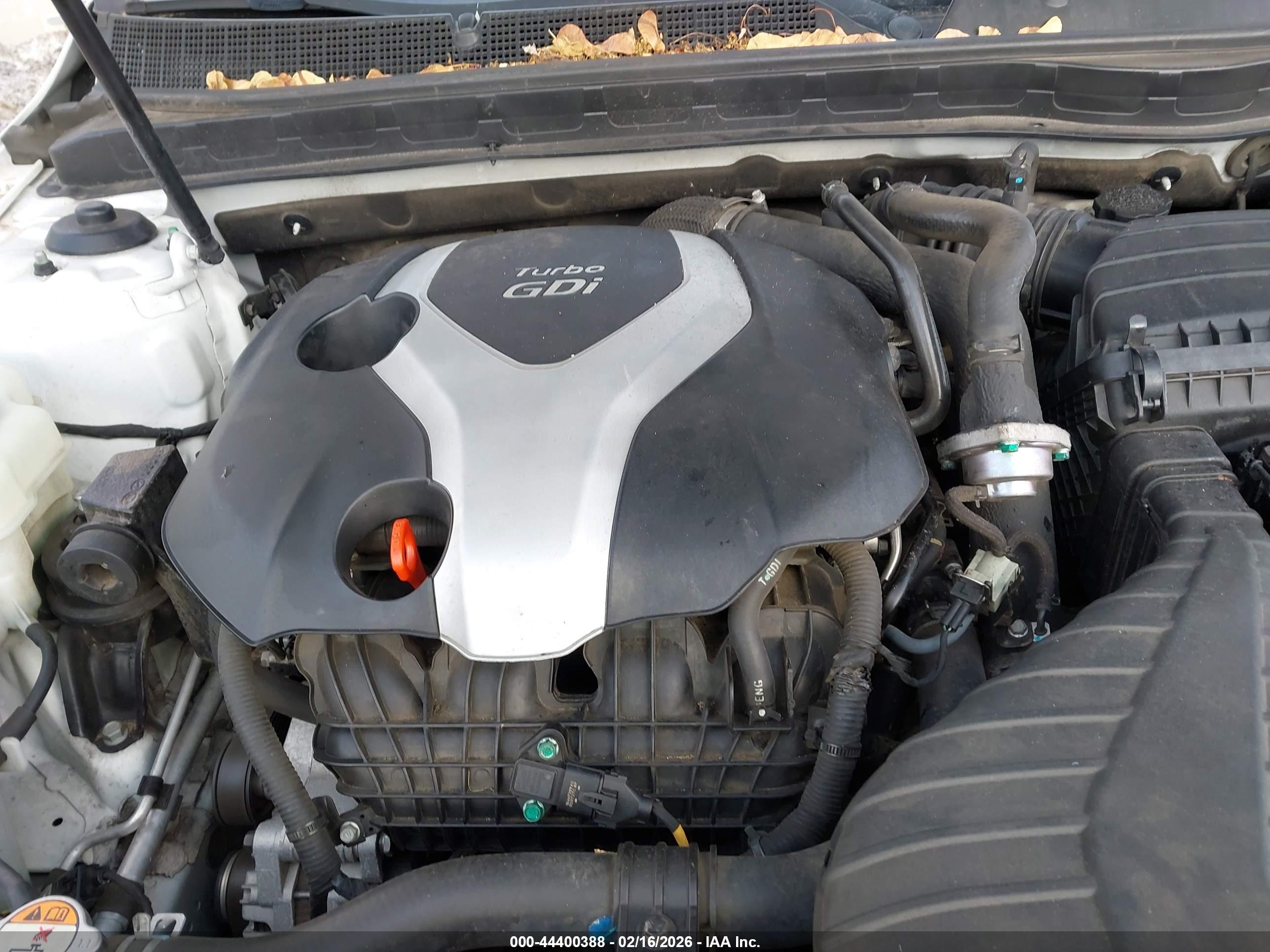 KIA OPTIMA image 10