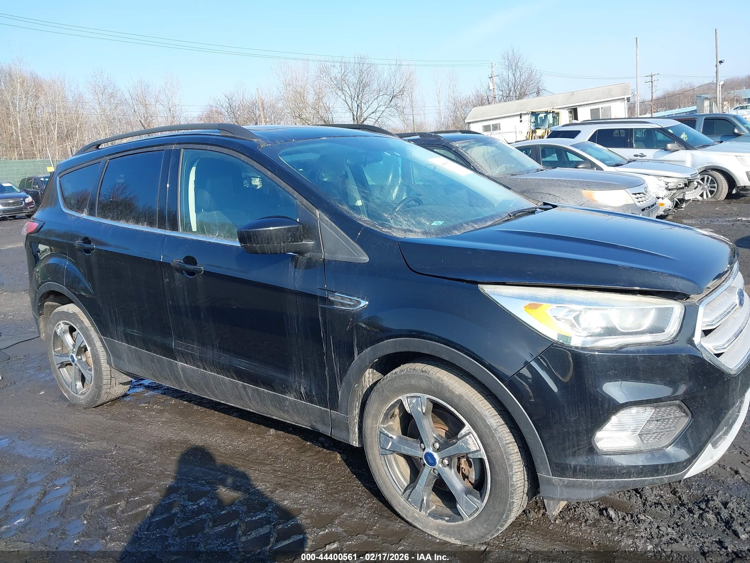 FORD ESCAPE image 6