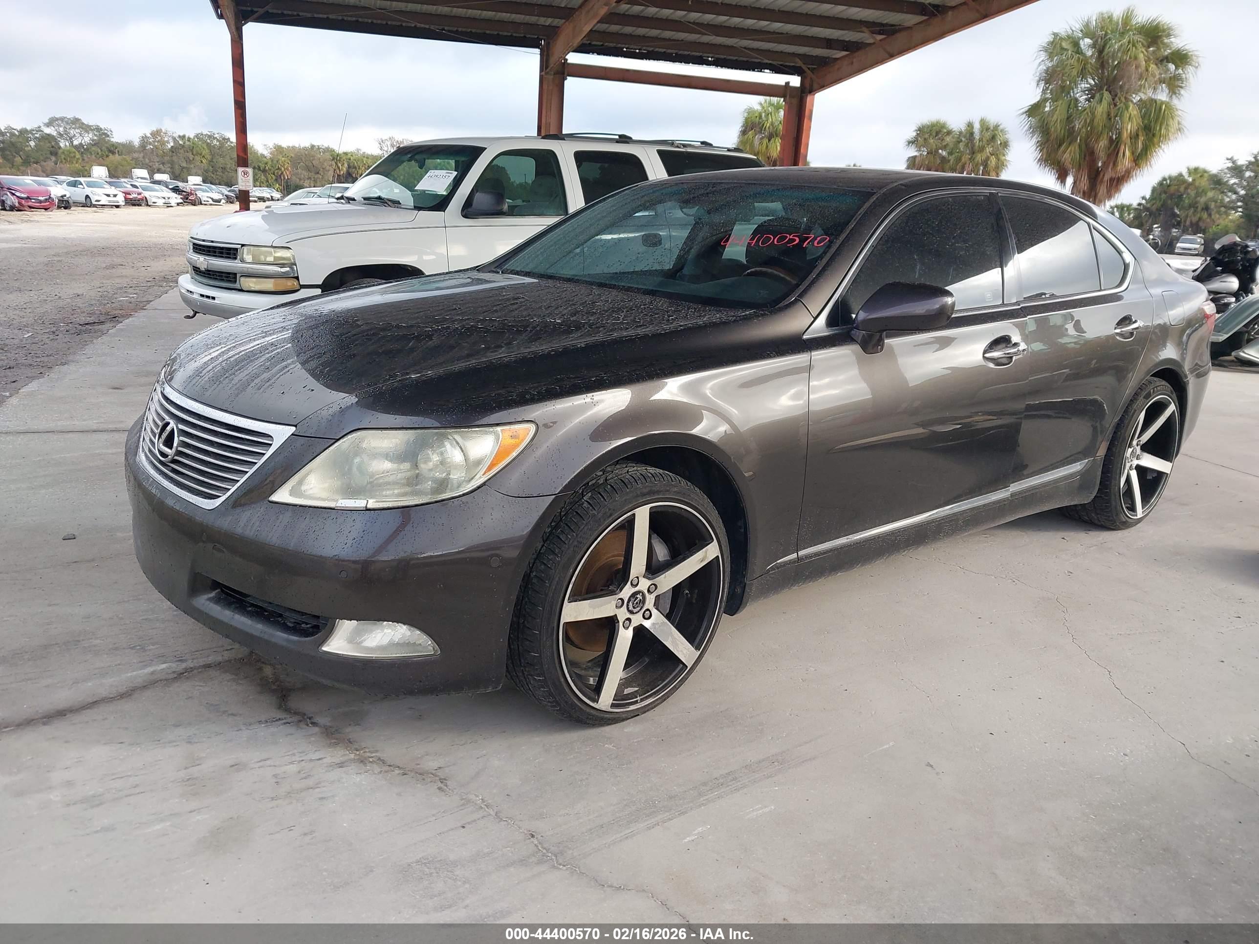 LEXUS LS image 2