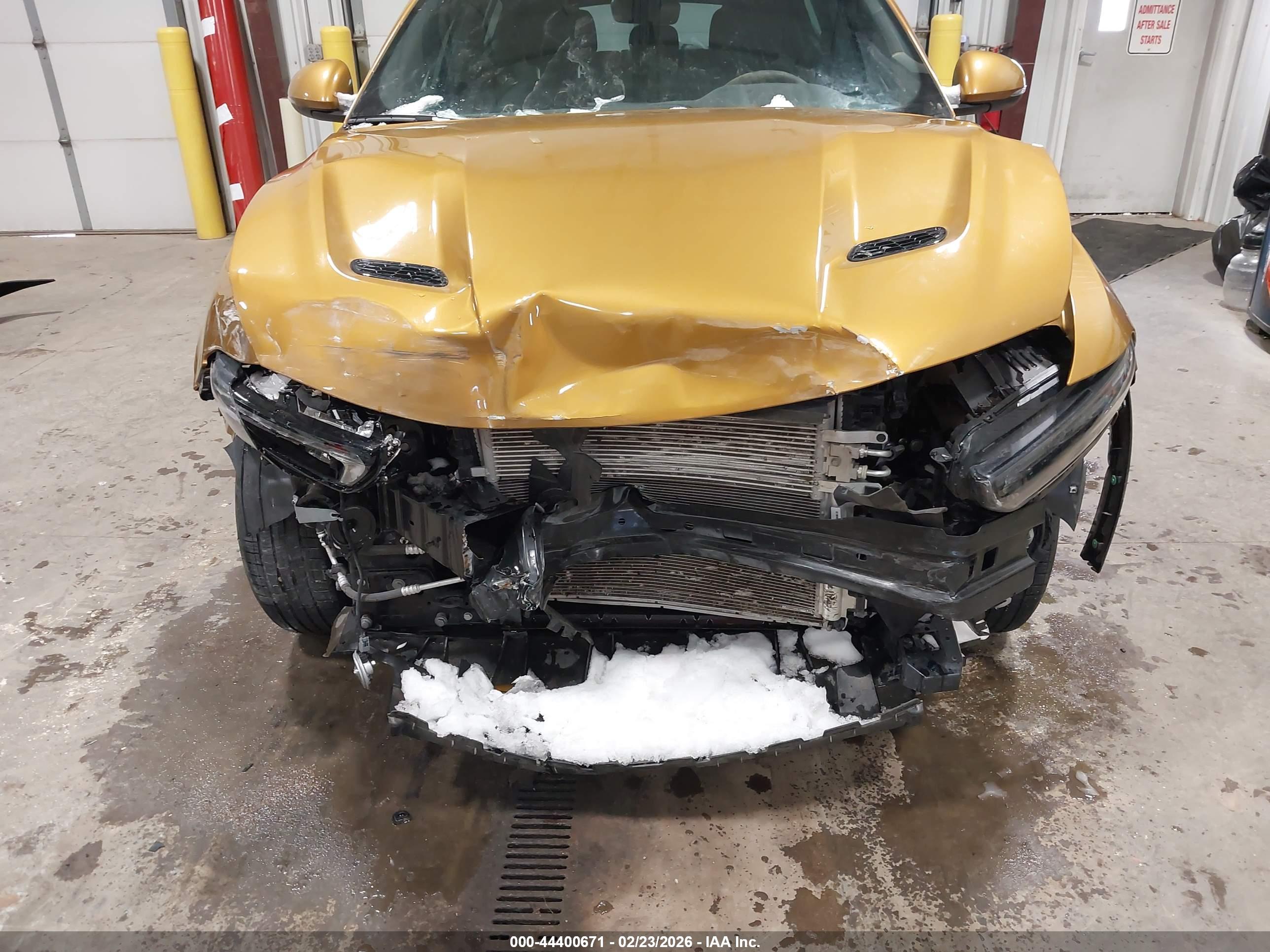 DODGE HORNET image 6