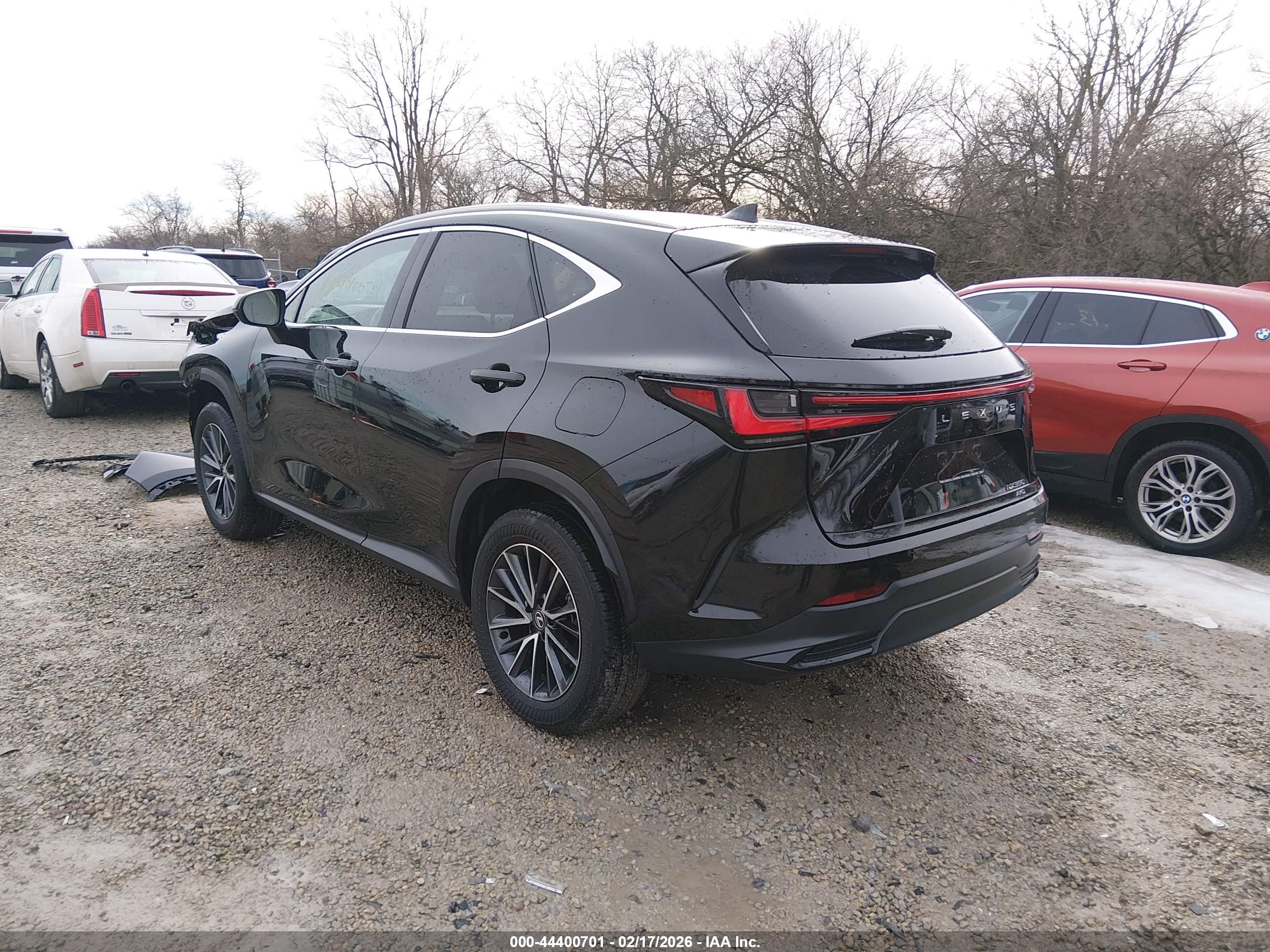 LEXUS NX image 3