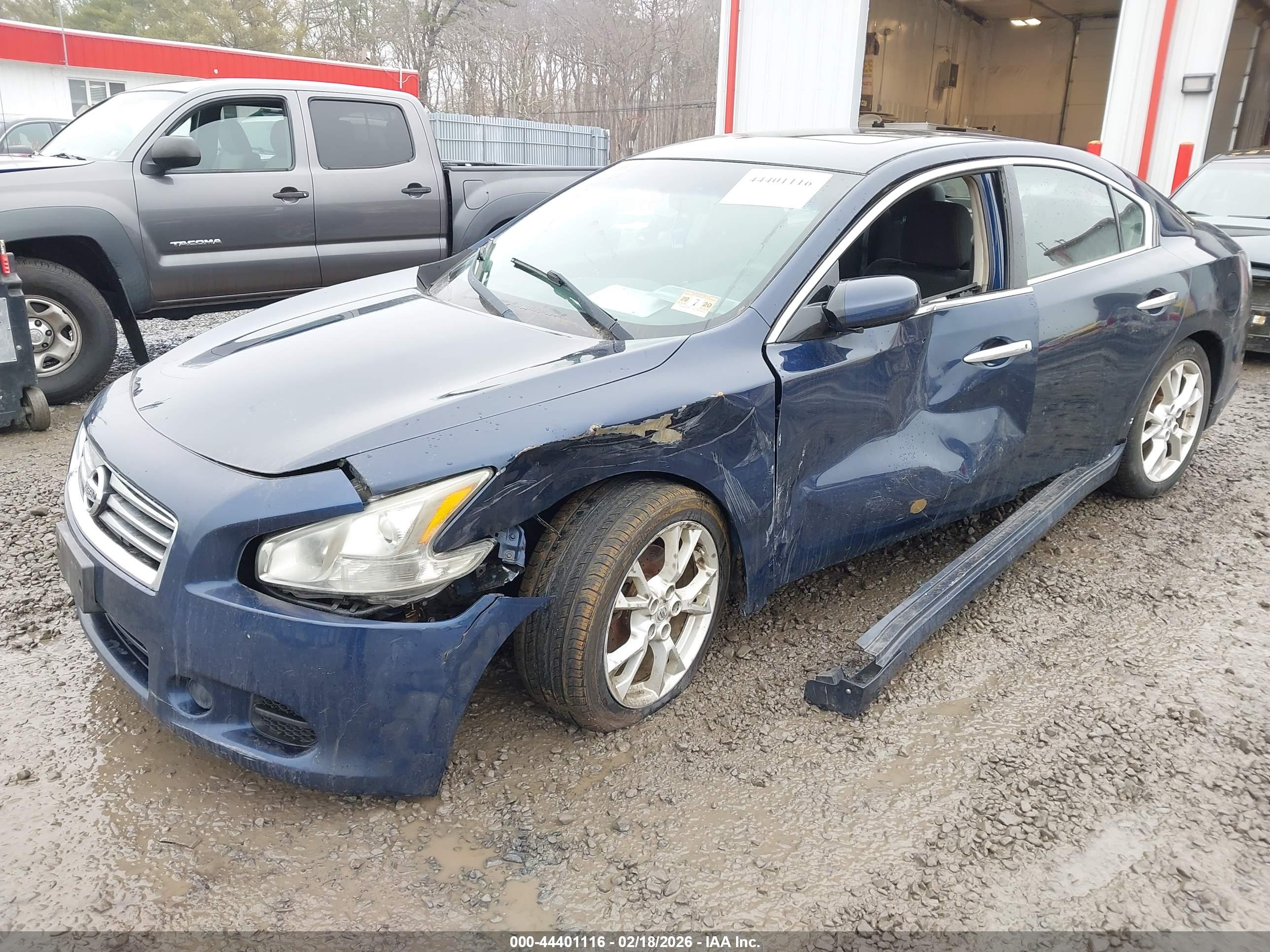 NISSAN MAXIMA image 2
