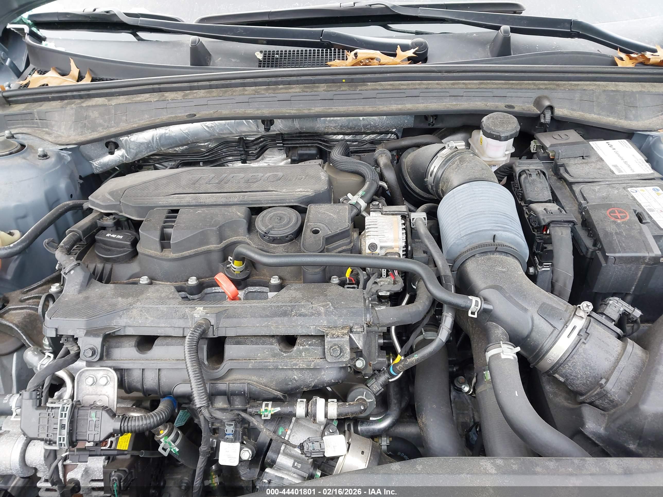 KIA K5 image 10