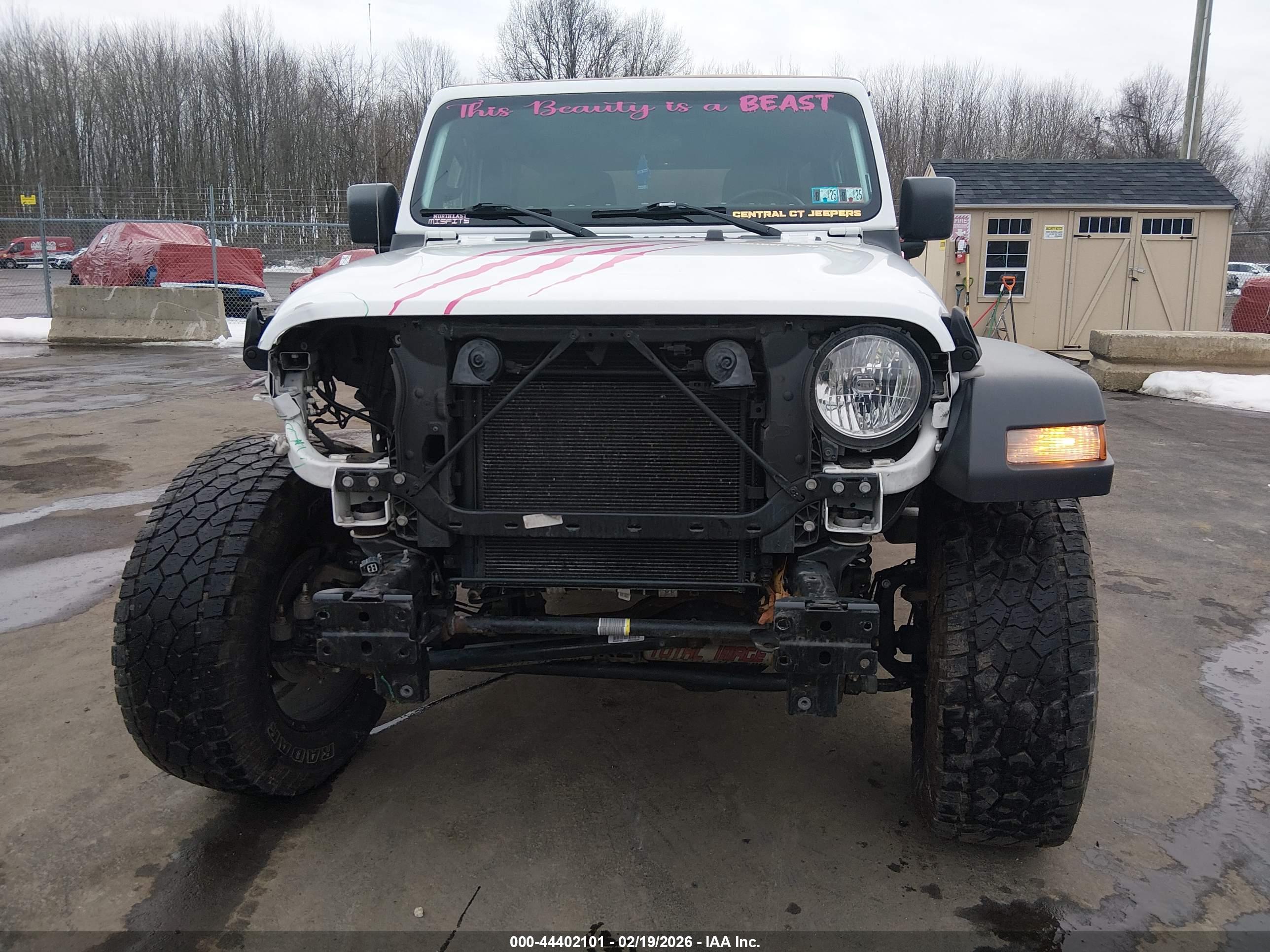 JEEP WRANGLER image 6