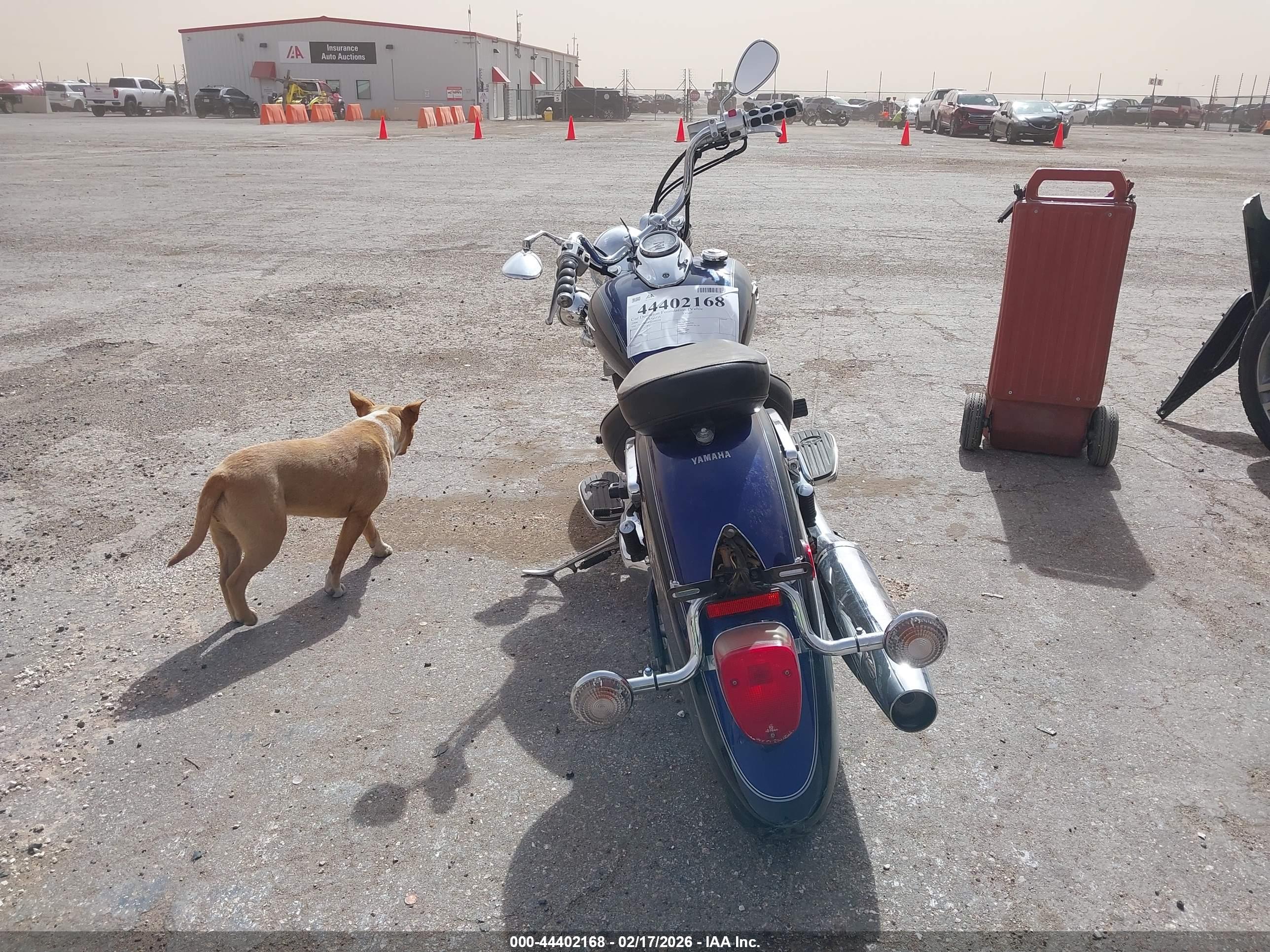 YAMAHA XVS65 image 6