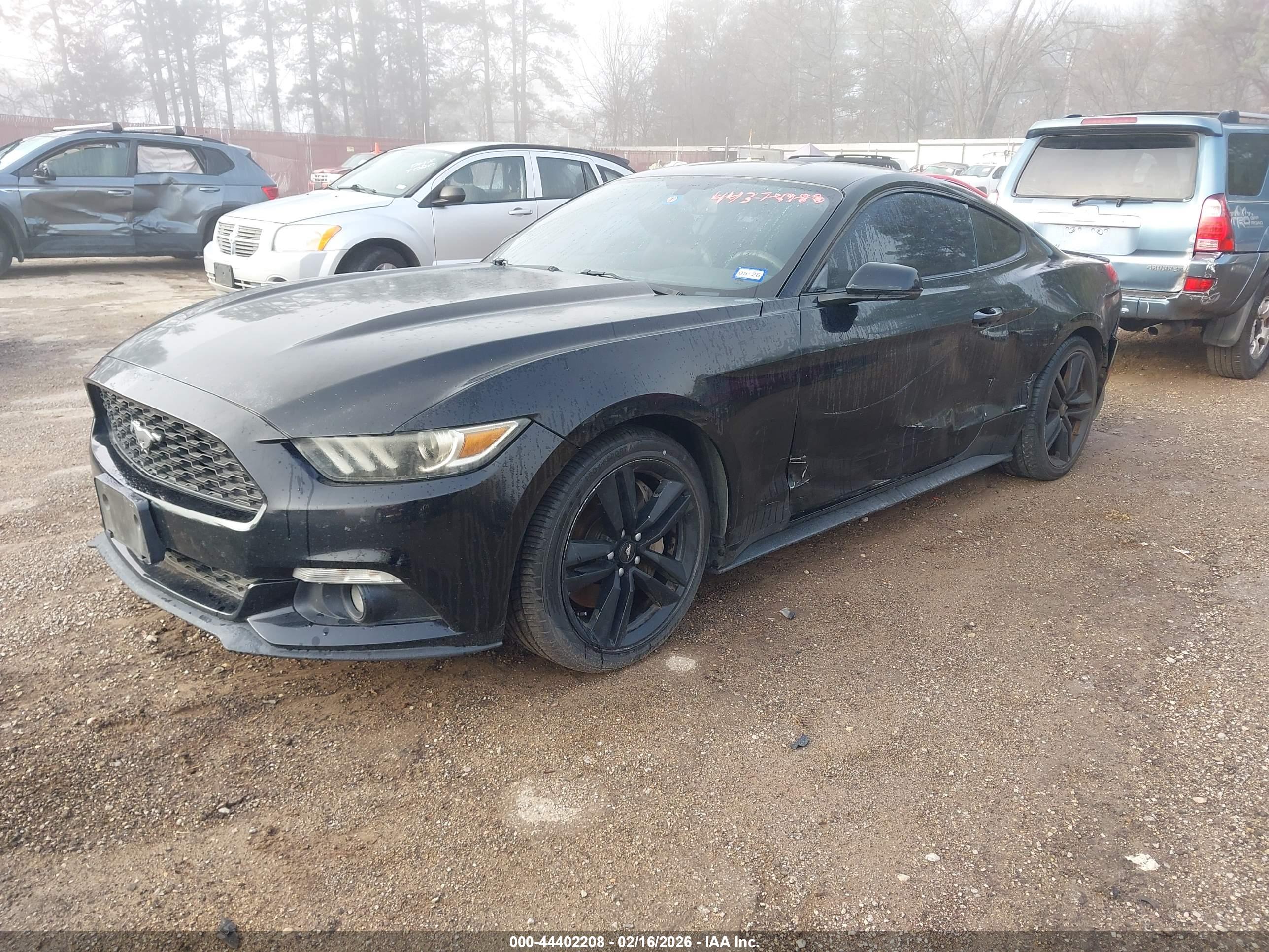 FORD MUSTANG image 2