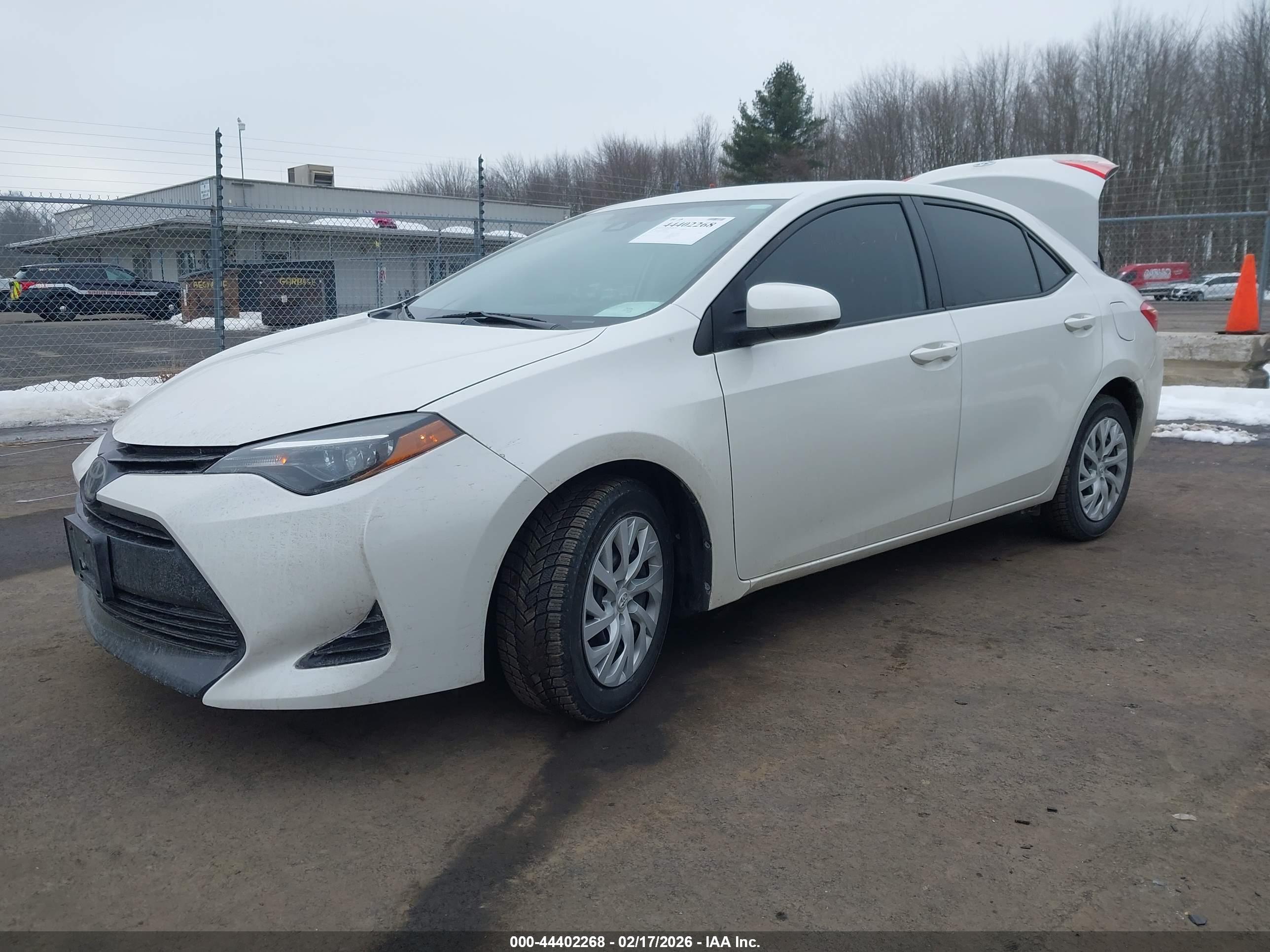 TOYOTA COROLLA image 2
